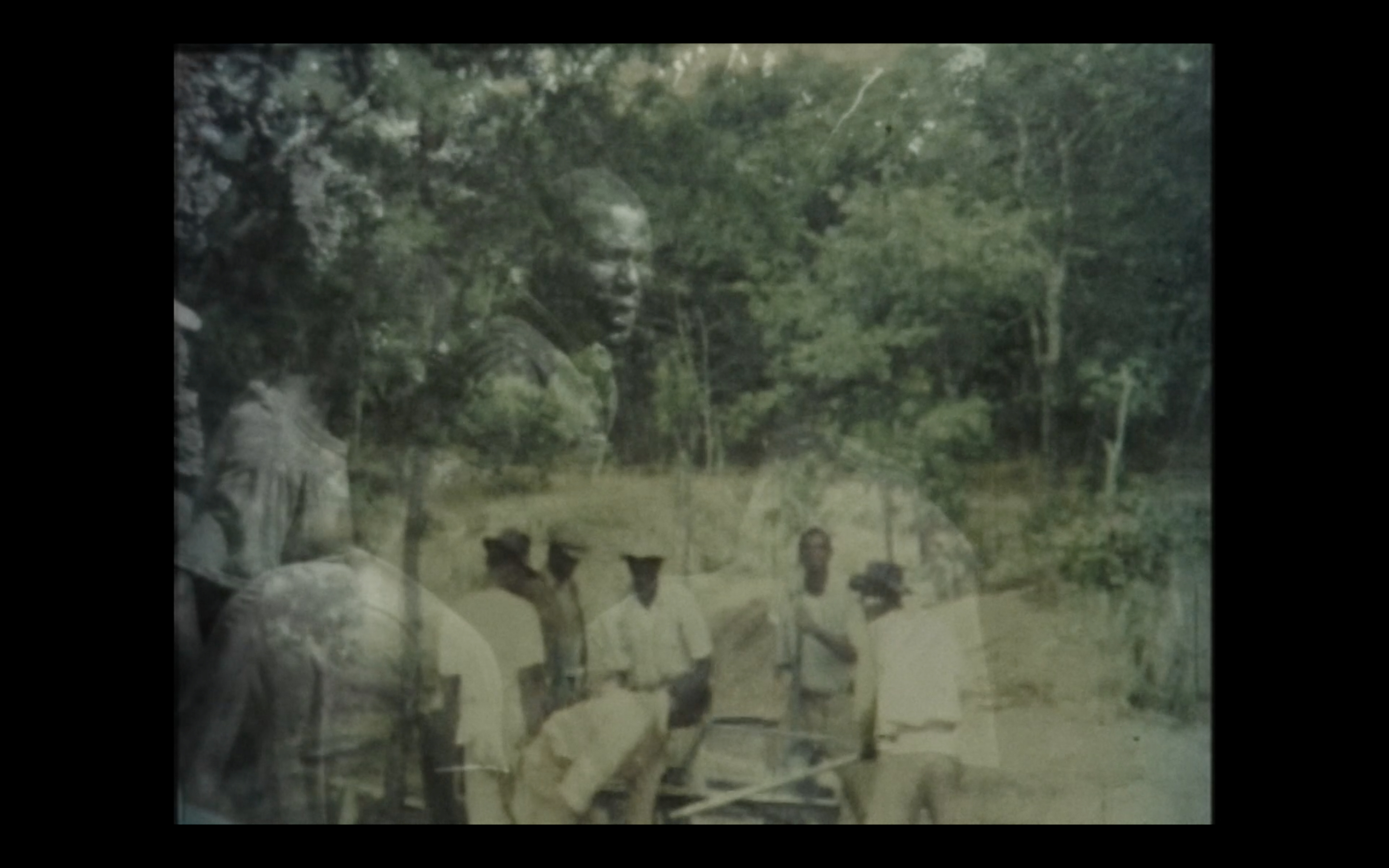 Land Changes Hands, but the Bees Remain in the Hive