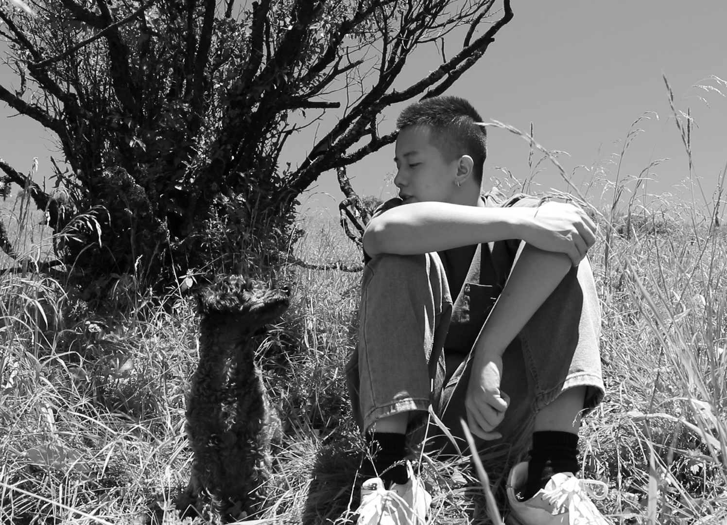 What Am I Looking For