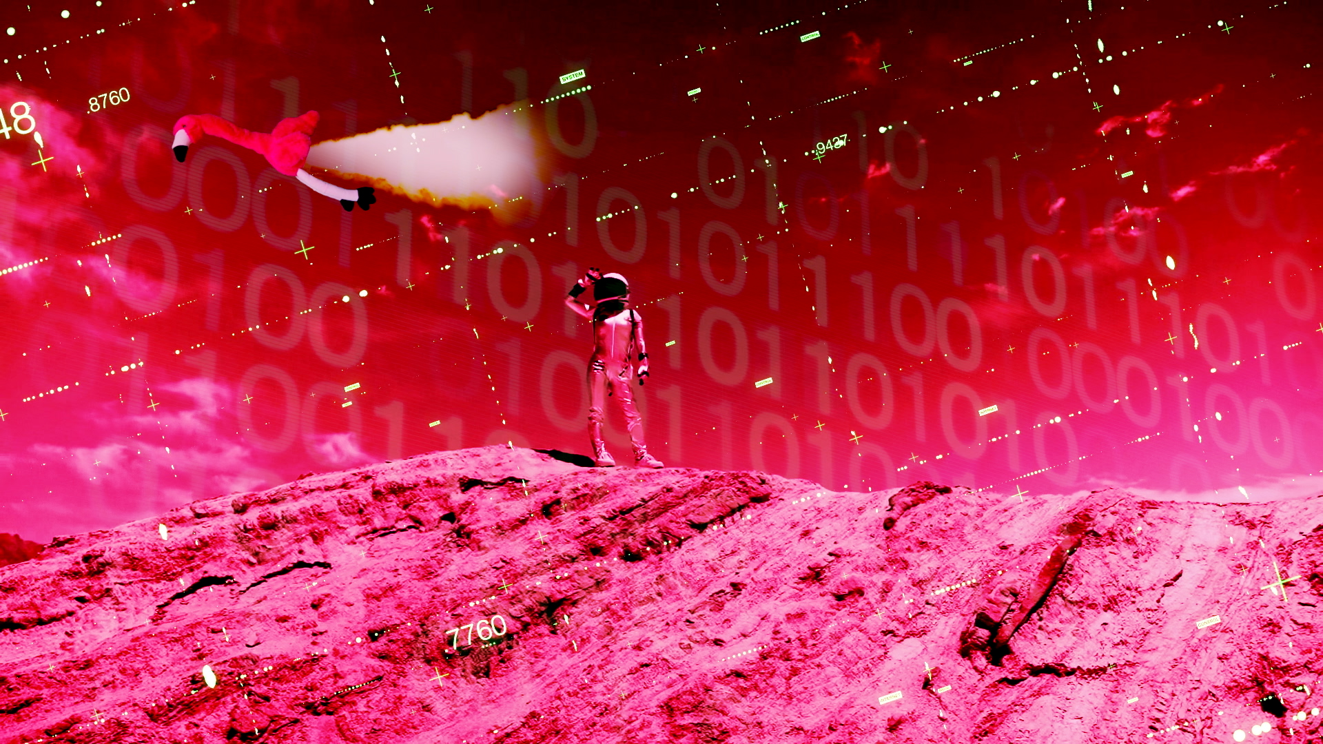 world through pink feathers