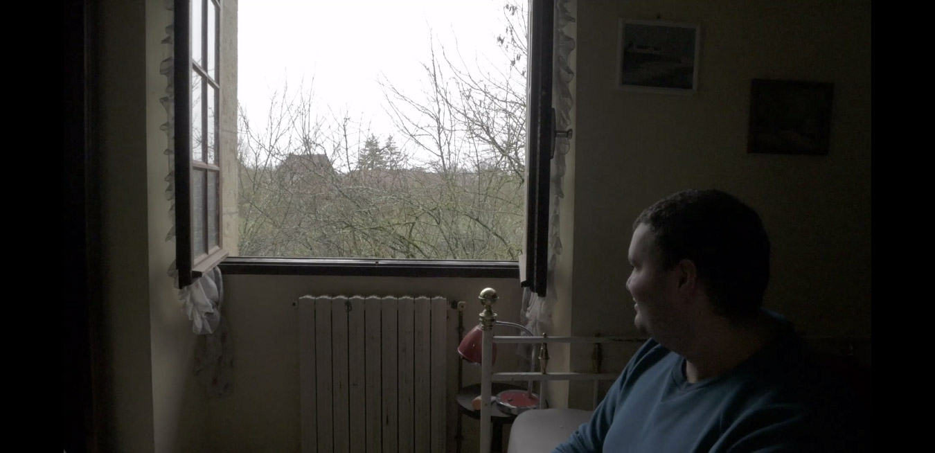 Là où vivaient les arbres maintenant