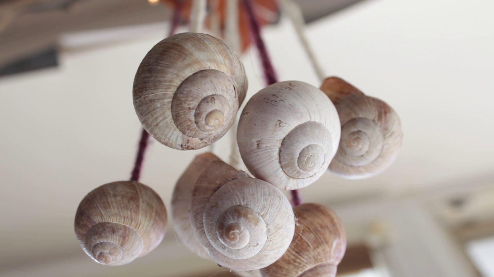 Když prší řízky