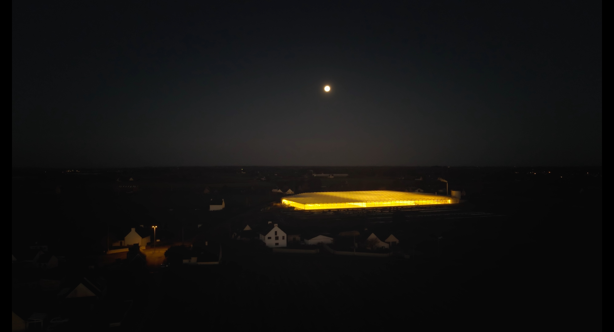 Oiseaux de nuit