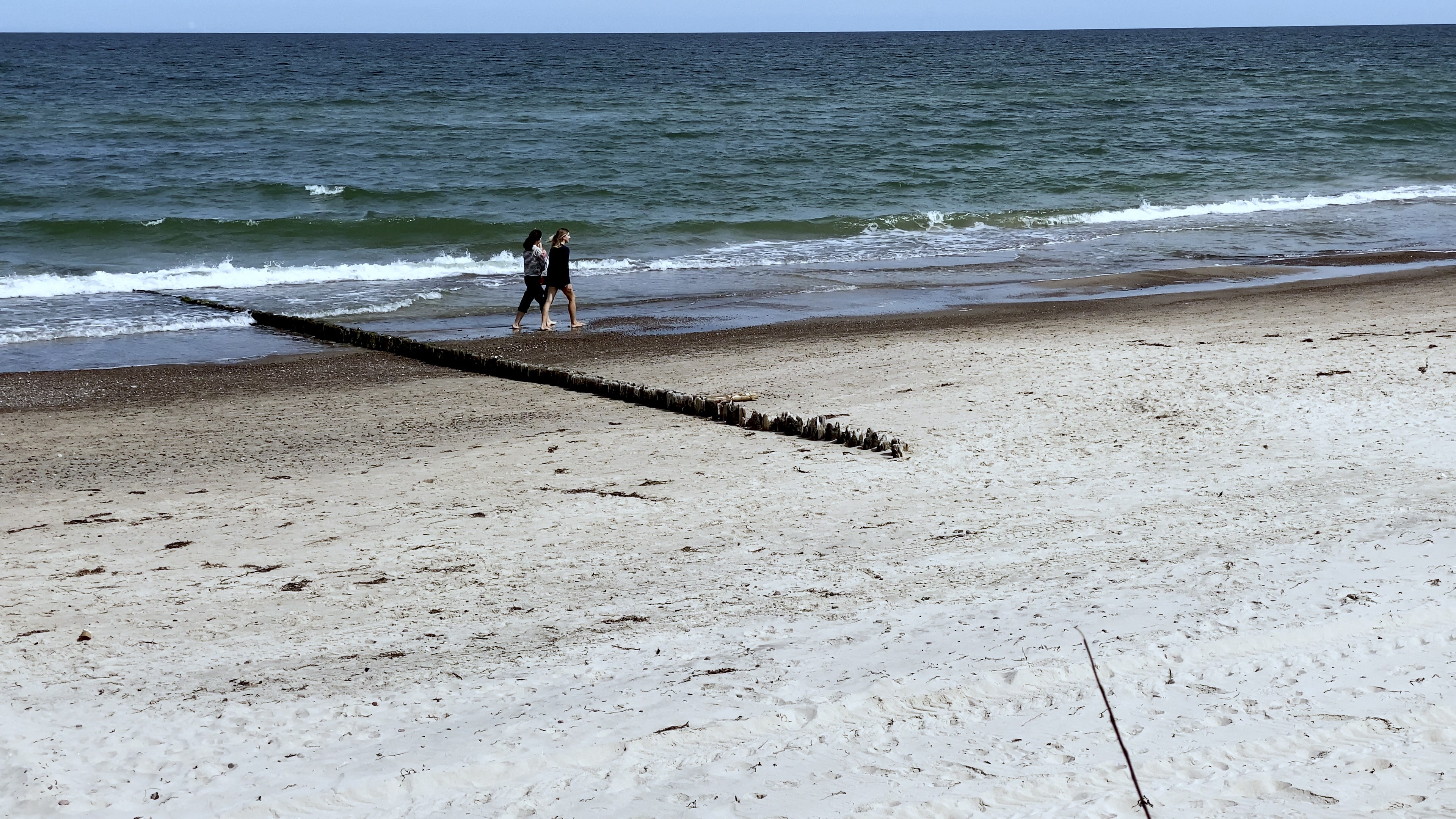 Tu dois vivre / треба жити