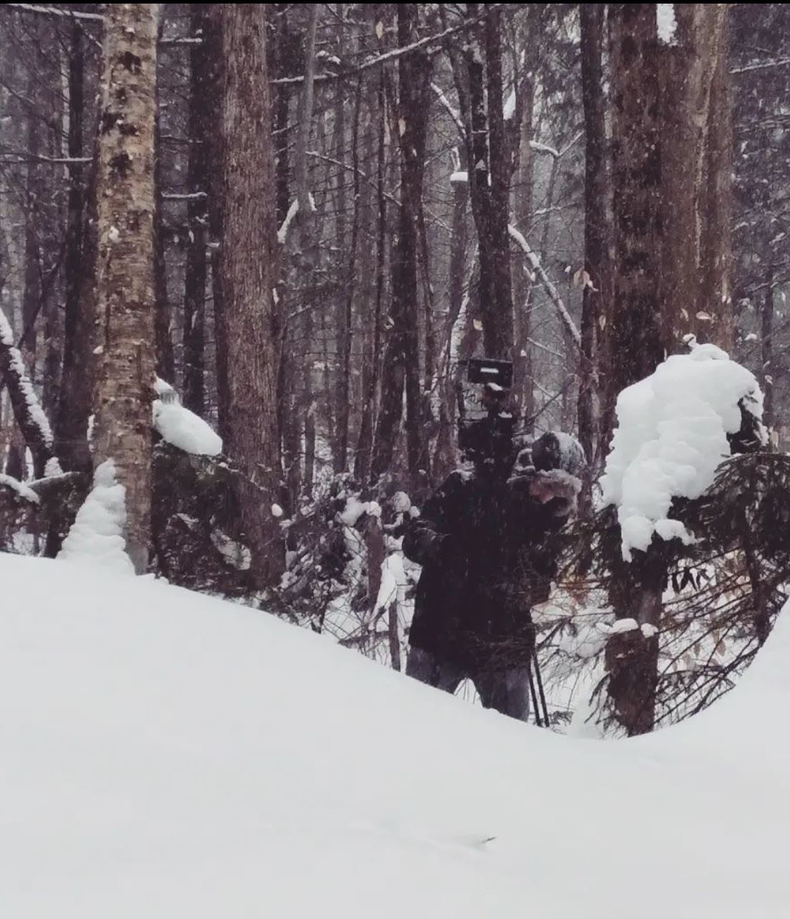 Roy, a Brother's Journey