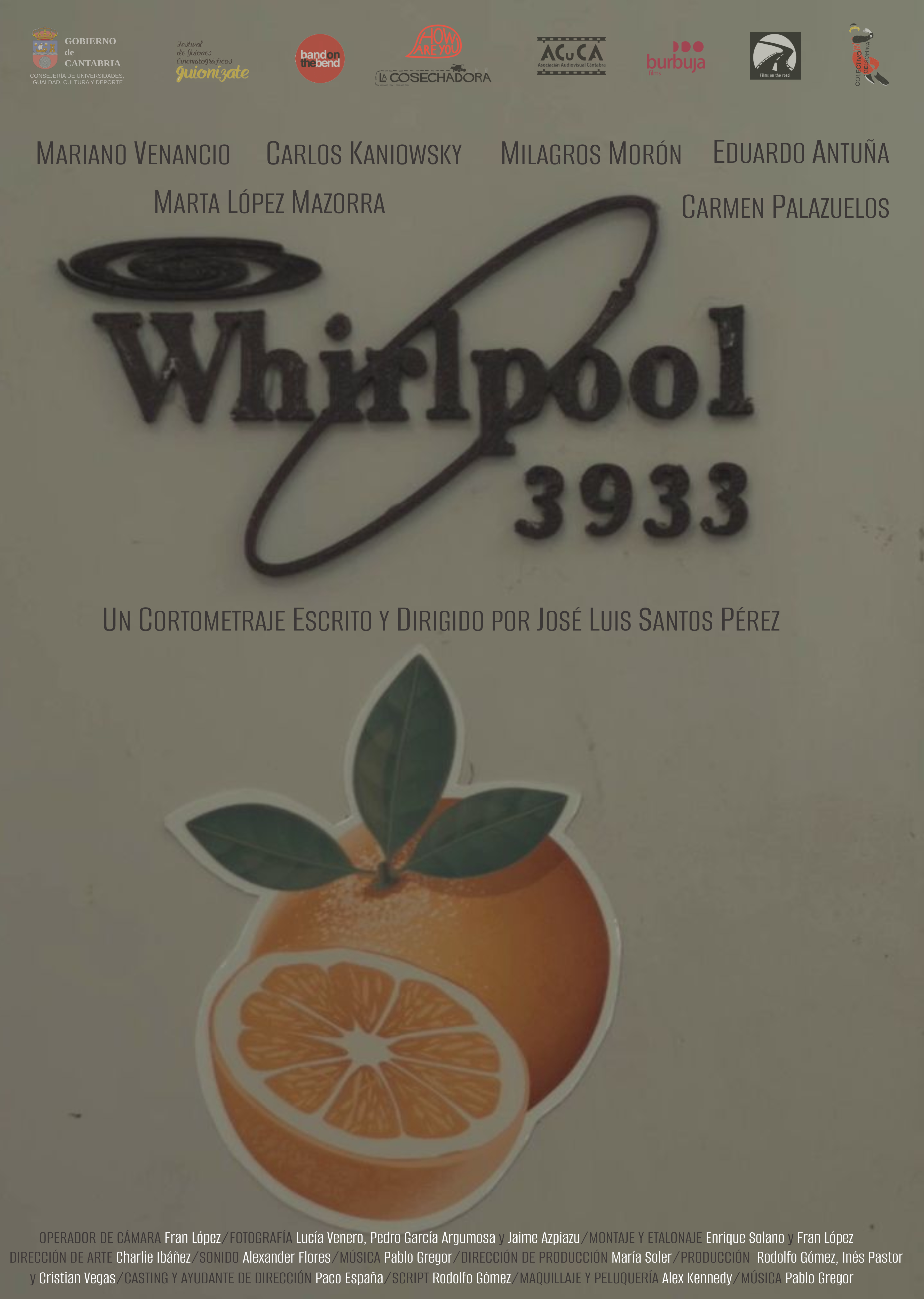 Whirpool 3993