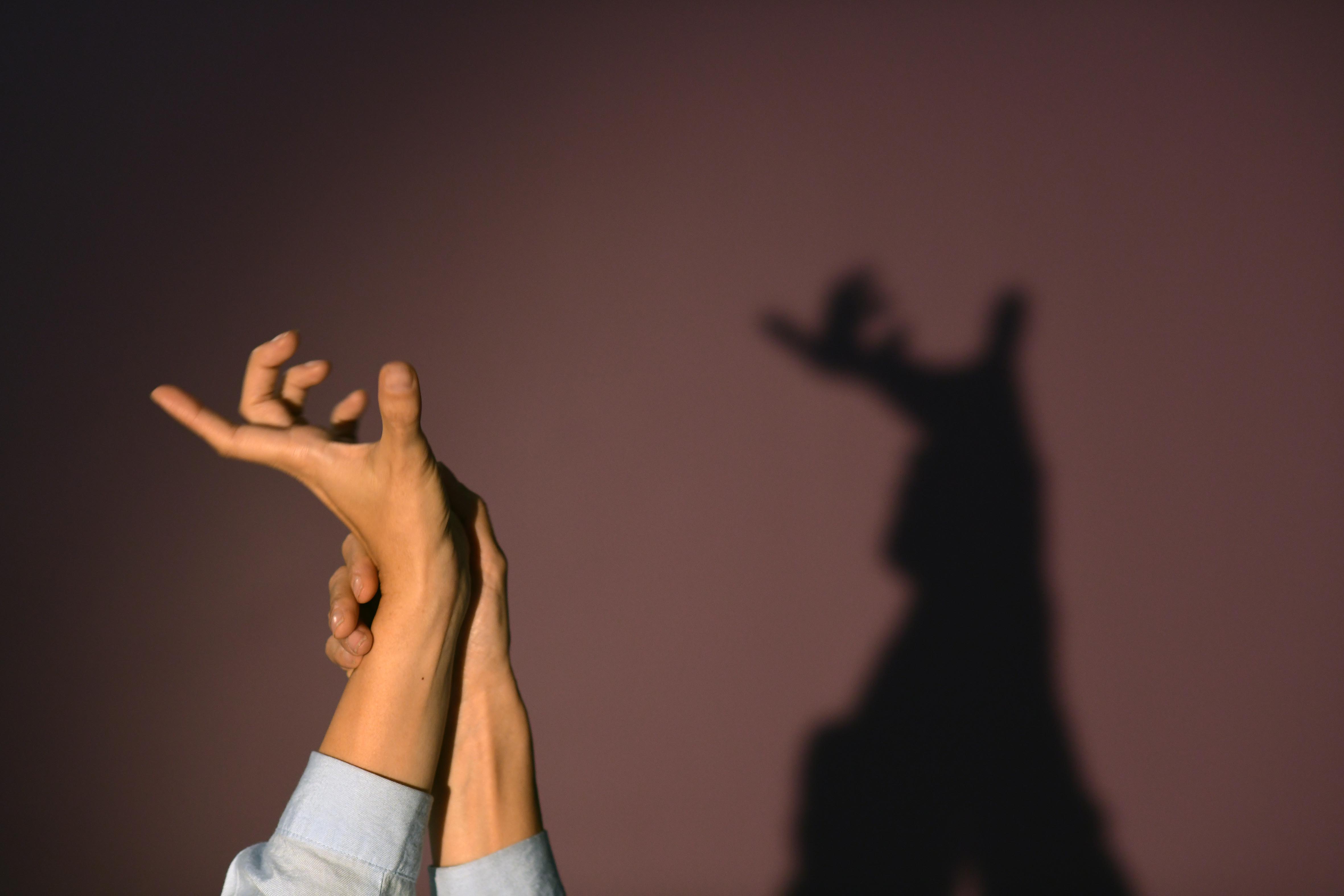 Chizhaei ke nemibini