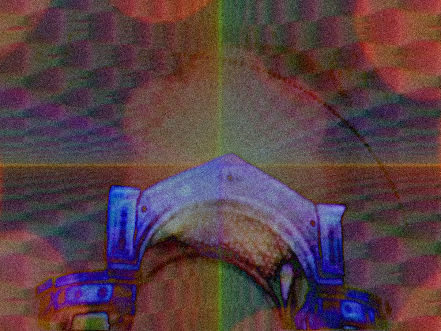 Una Flor en el Vacío