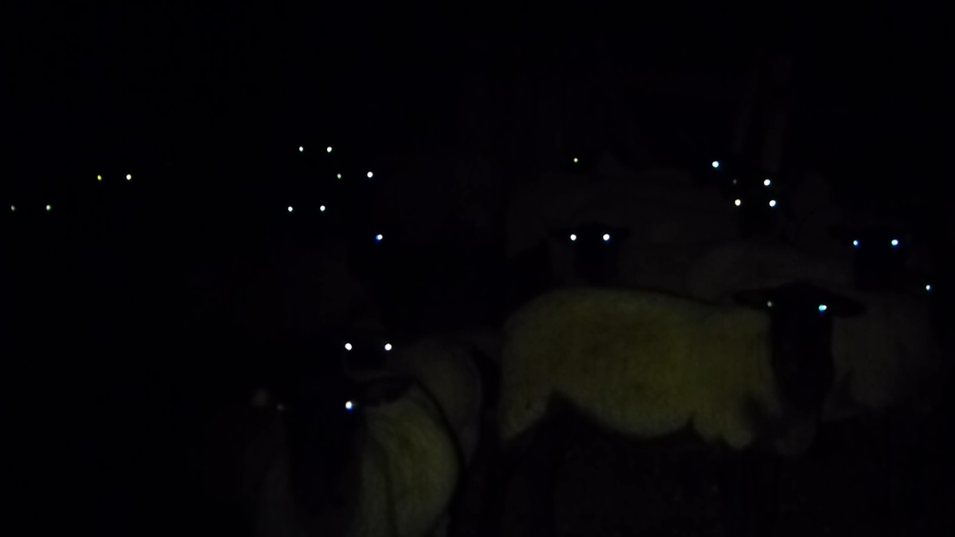 luz se mueve en línea recta