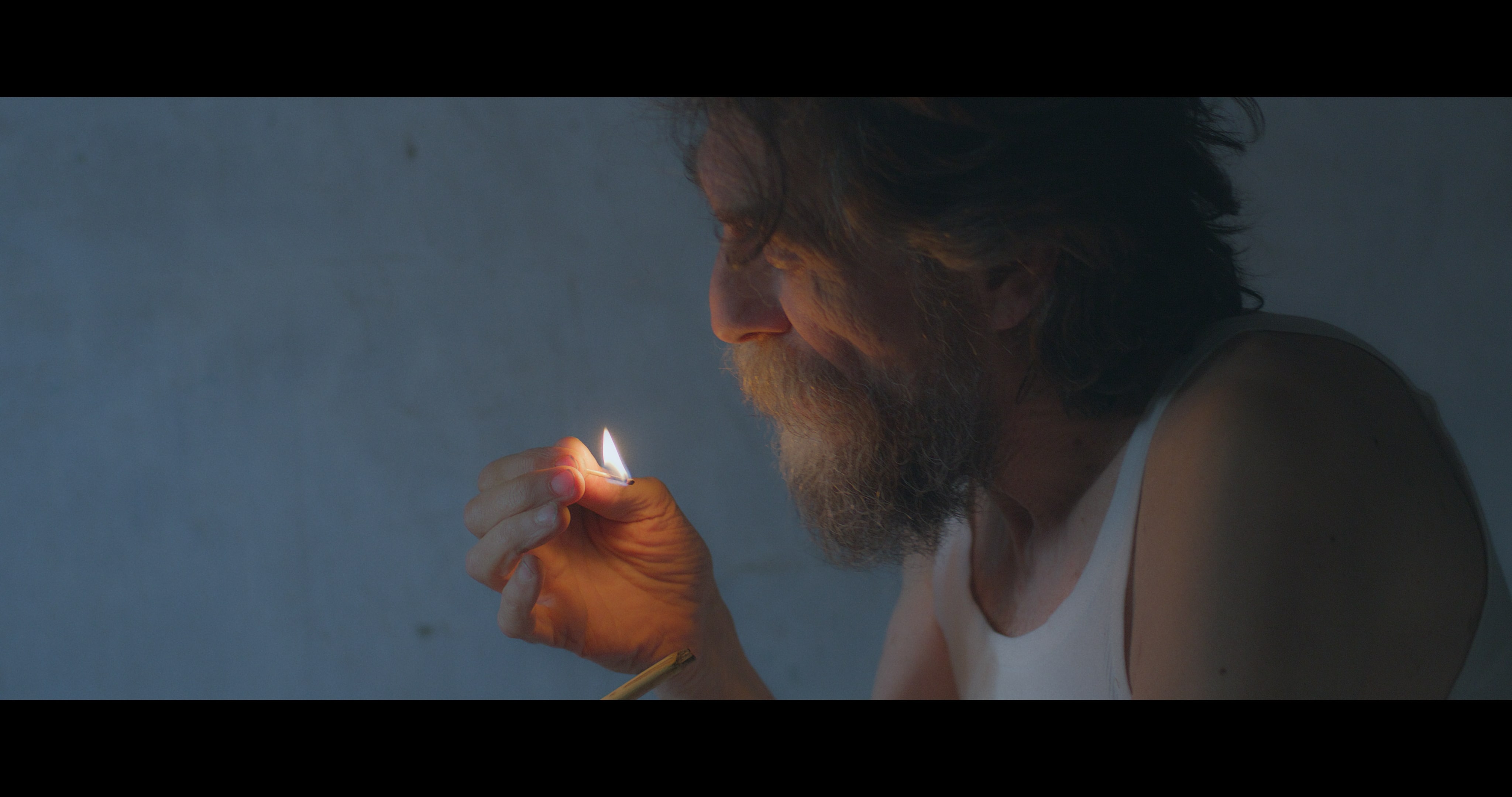 Grandine Sulle Ortensie