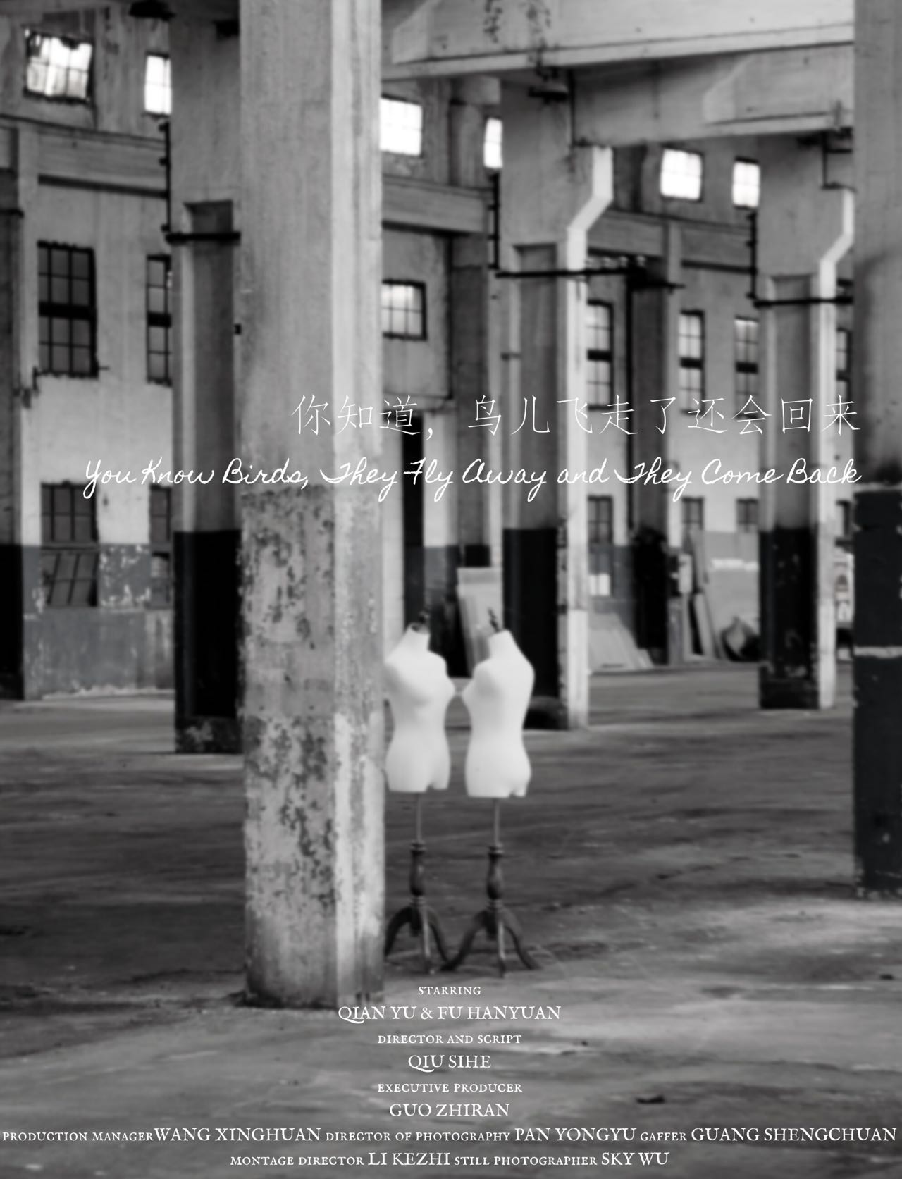 You Know Birds, They Fly Away And They Come Back