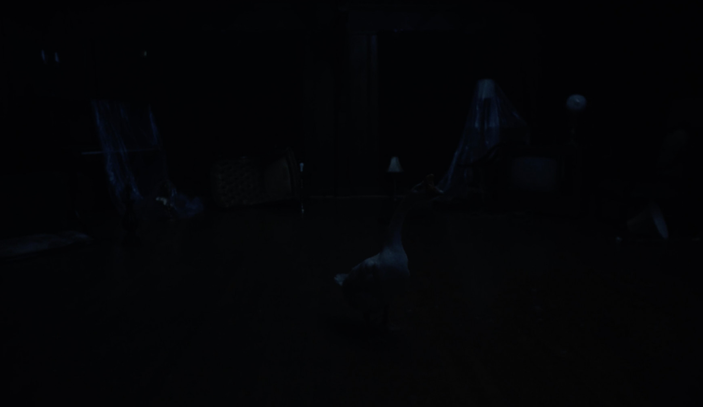Ghost Goose