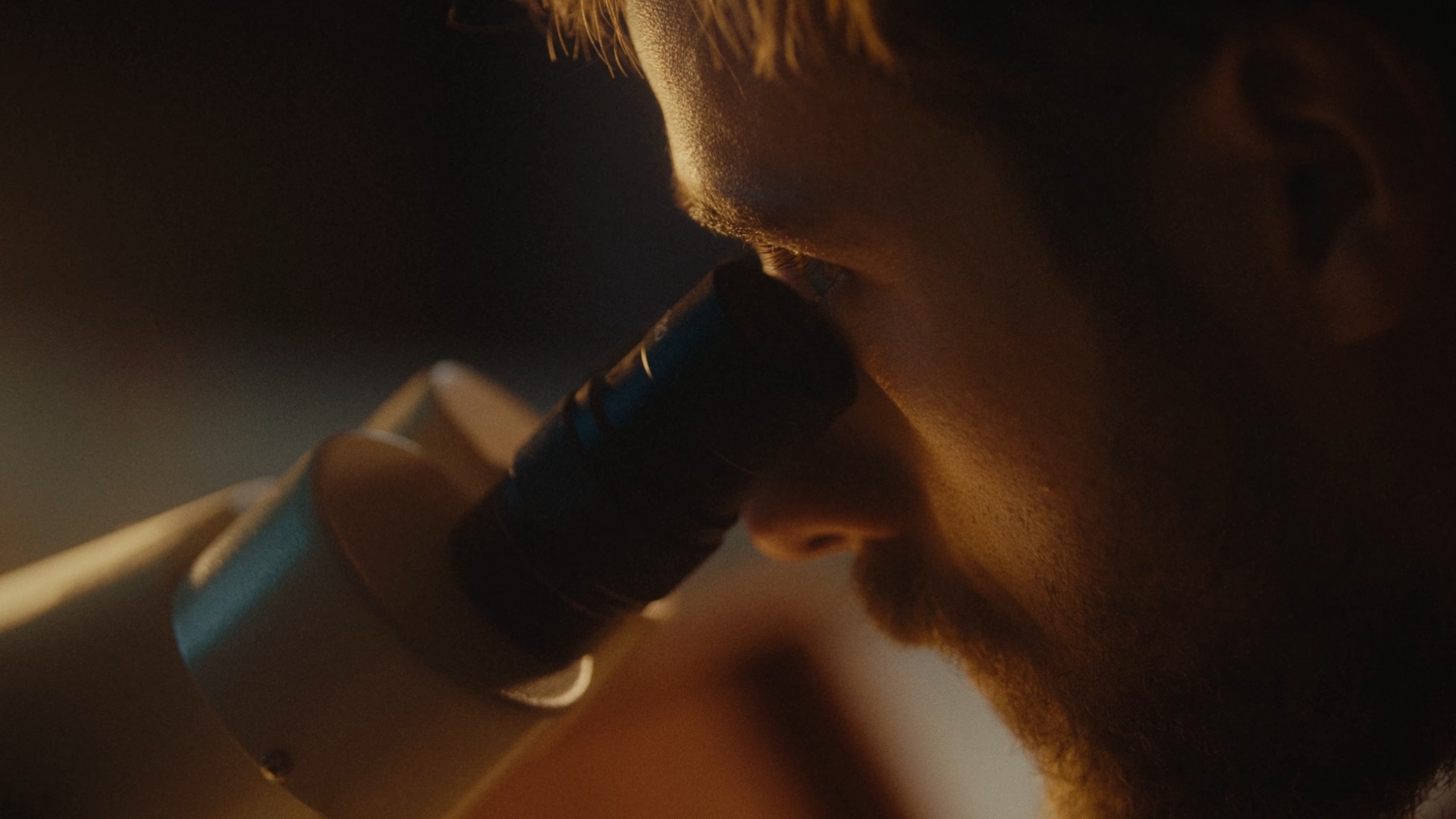 Gentle Hum of Spring