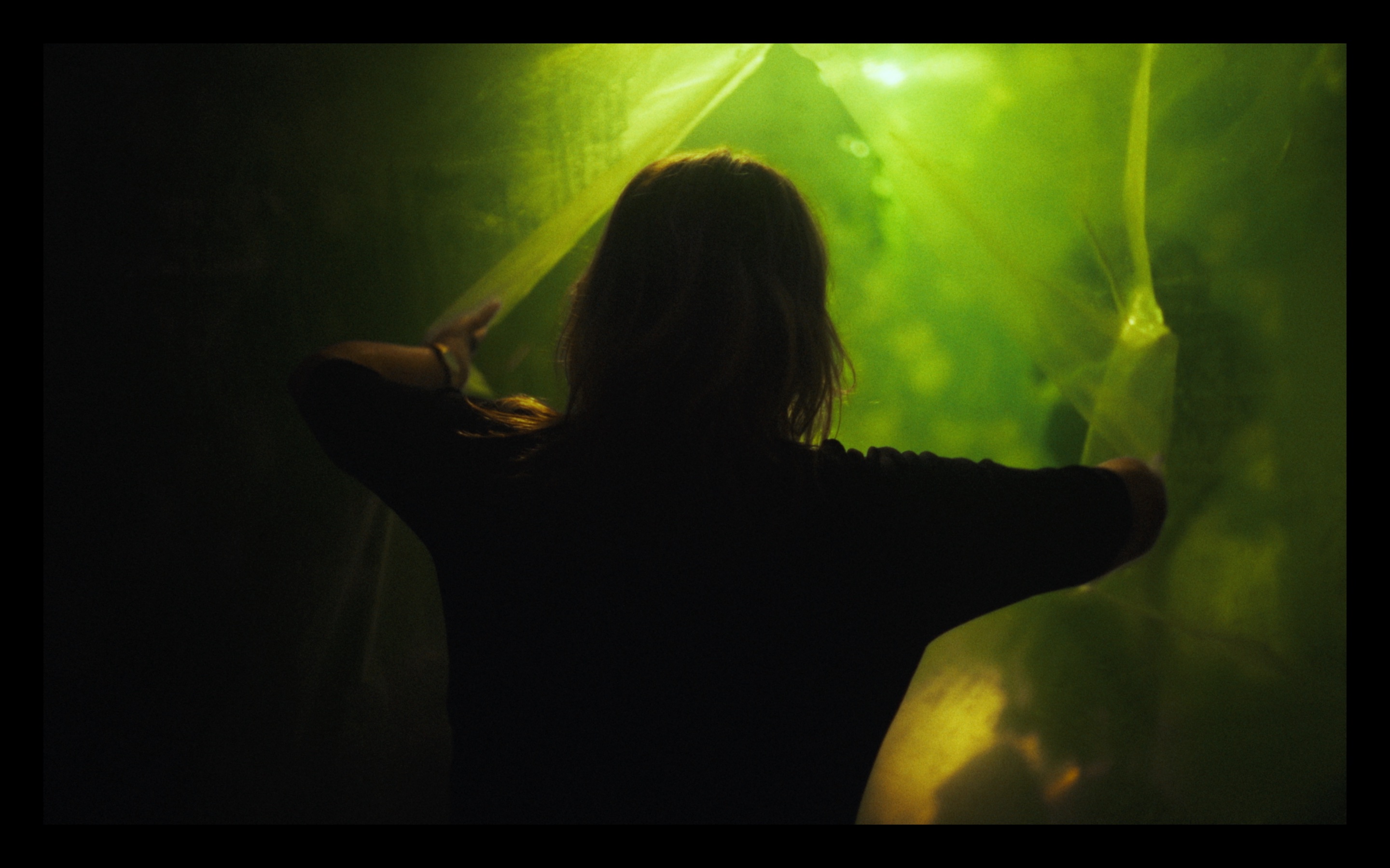 trilogie des têtards