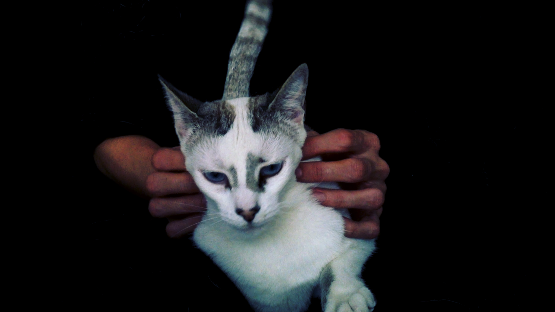 Respiratoire détresse