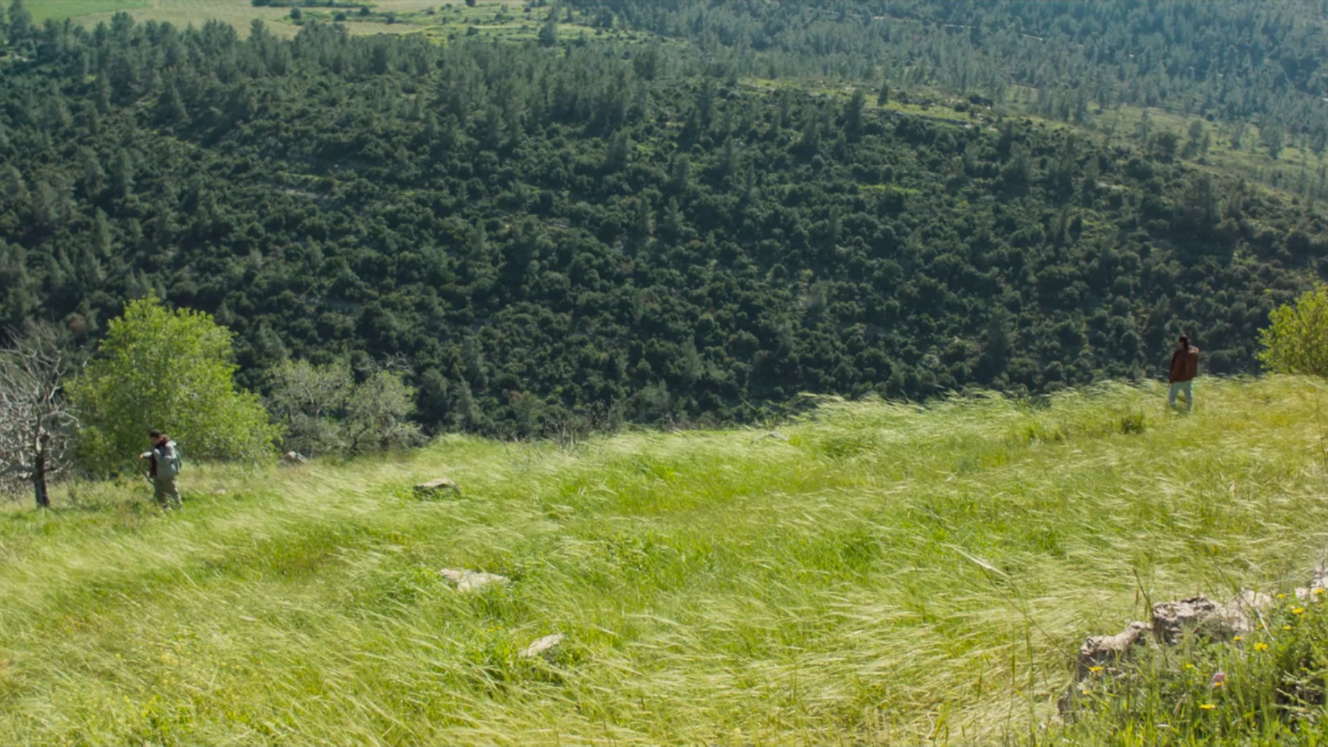 Hafra'at Hitmotetut Hamoshava