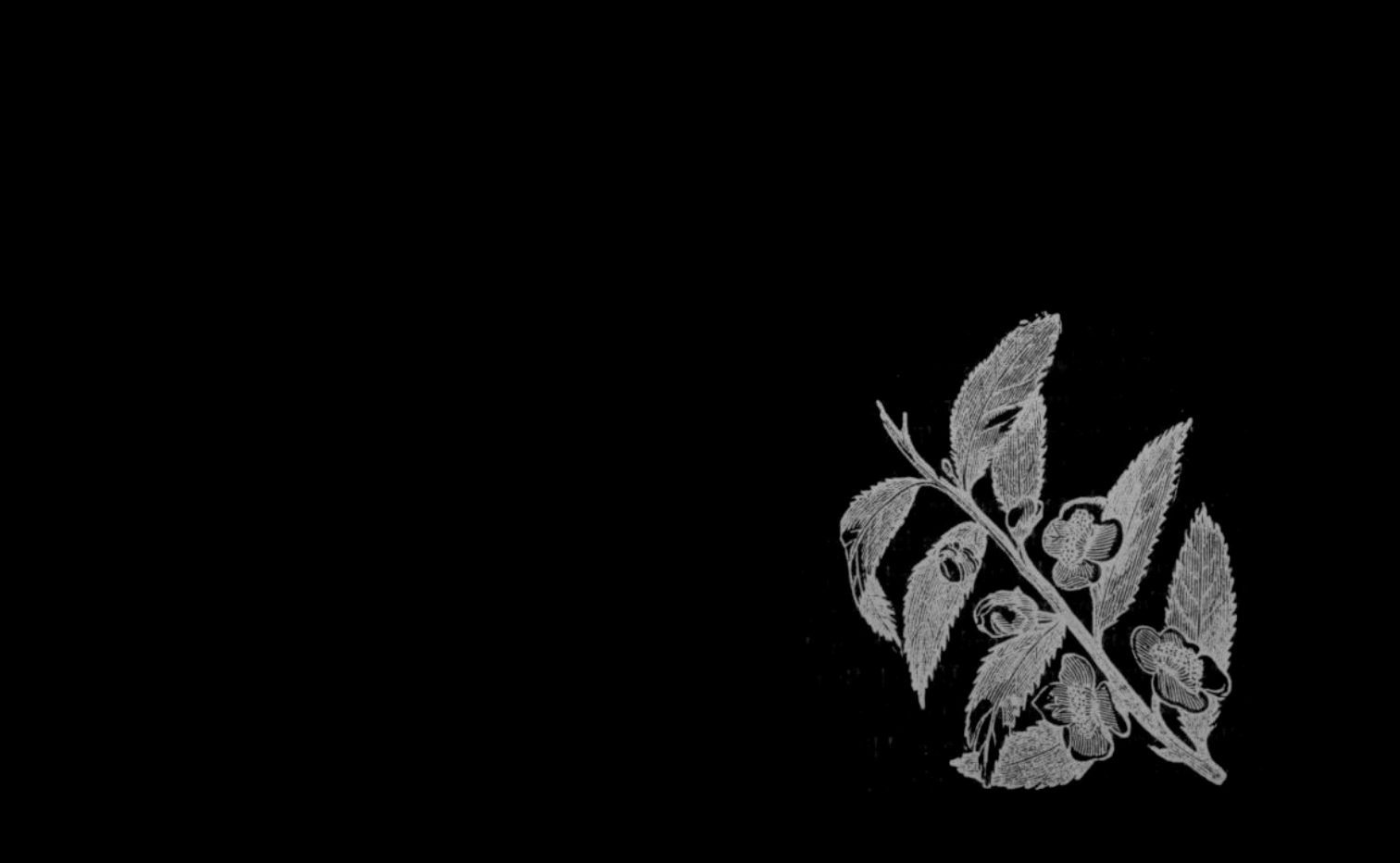 Phonographie de Taïwan #1 - En altitude