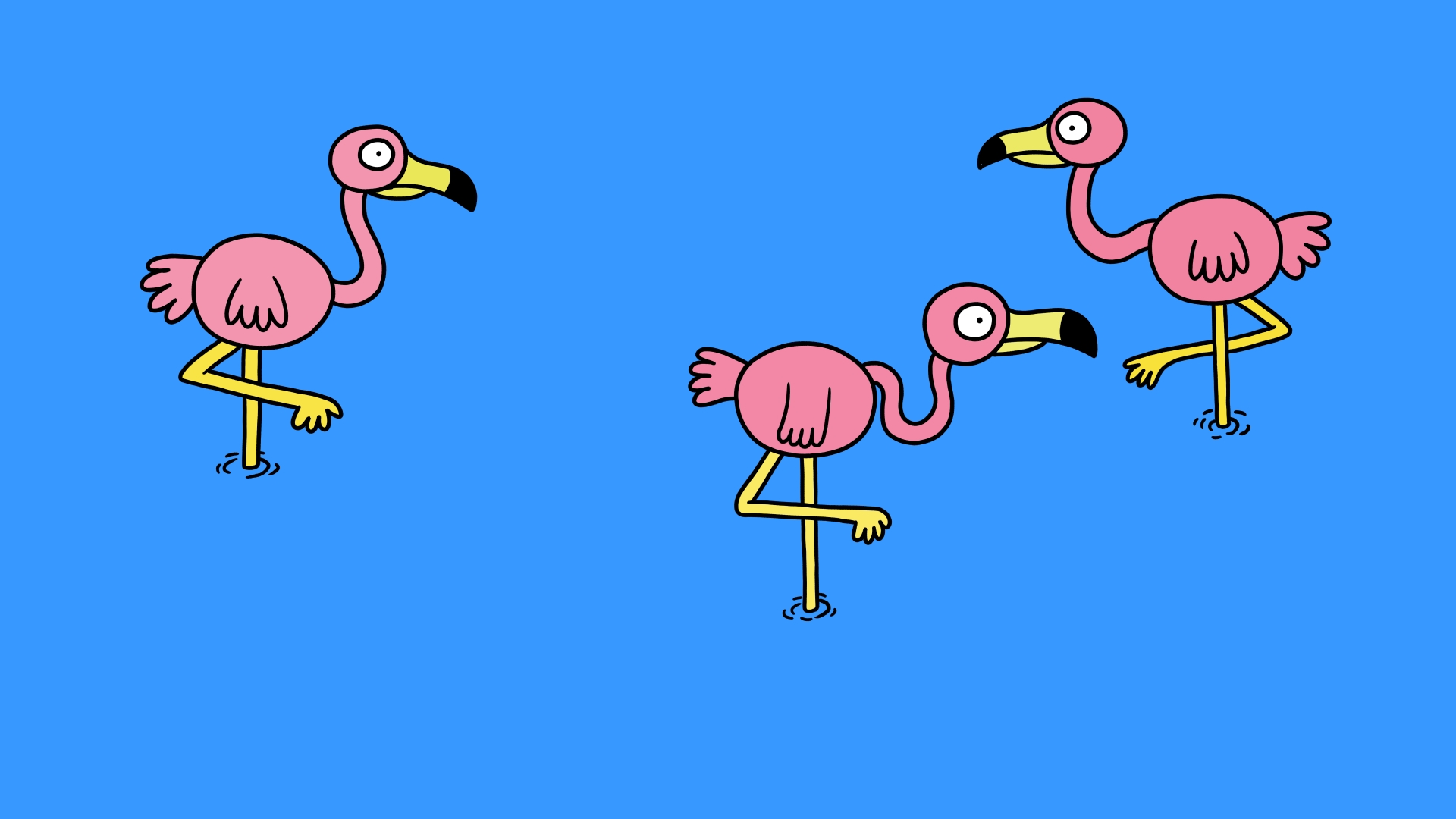 Birds Whose Legs Break Off