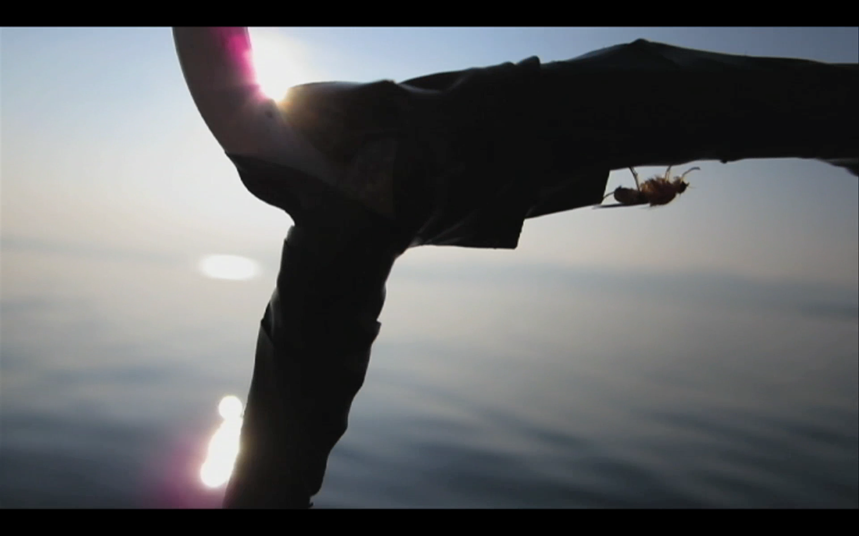 À l'Omble au Soleil