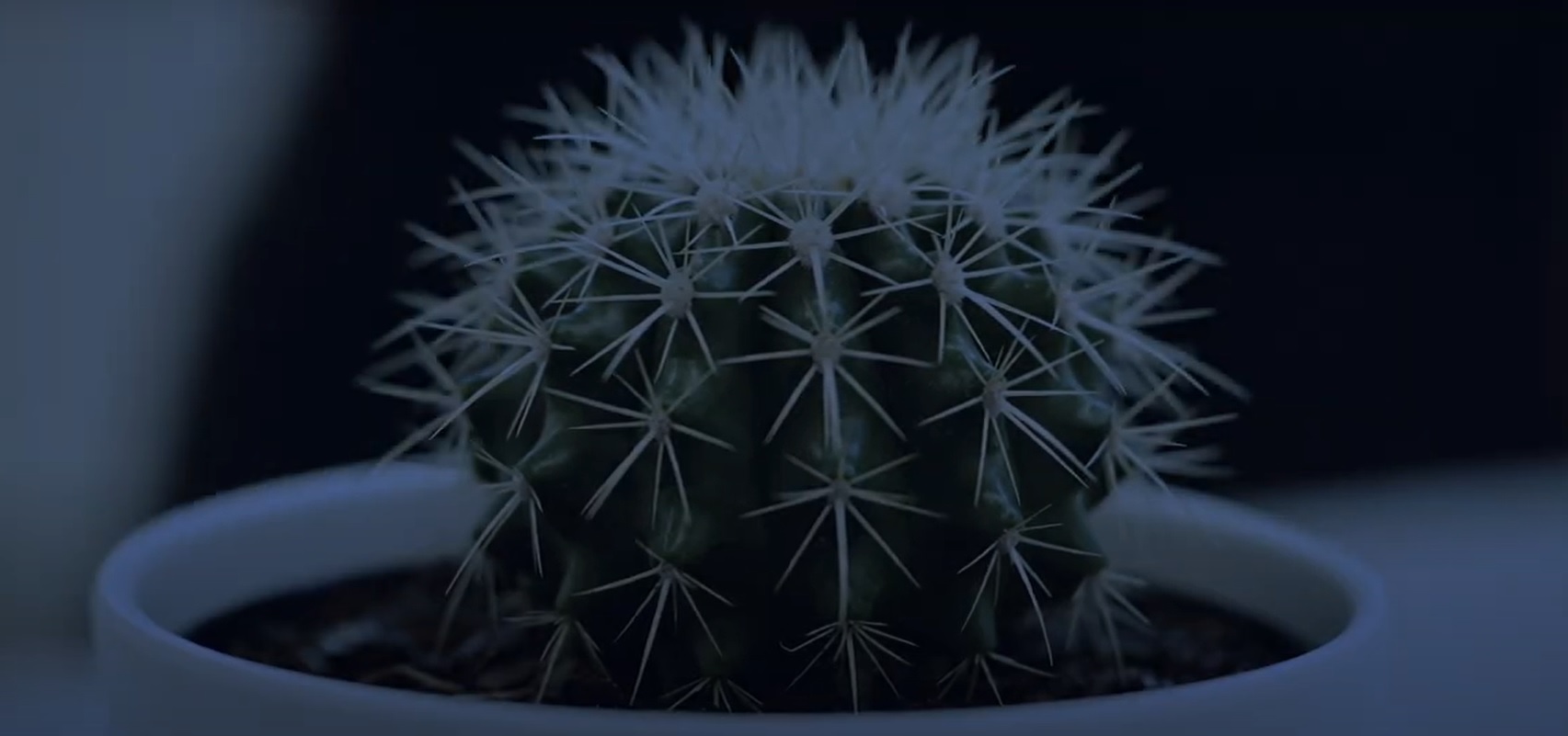 You're Not Allowed to Leave the Room