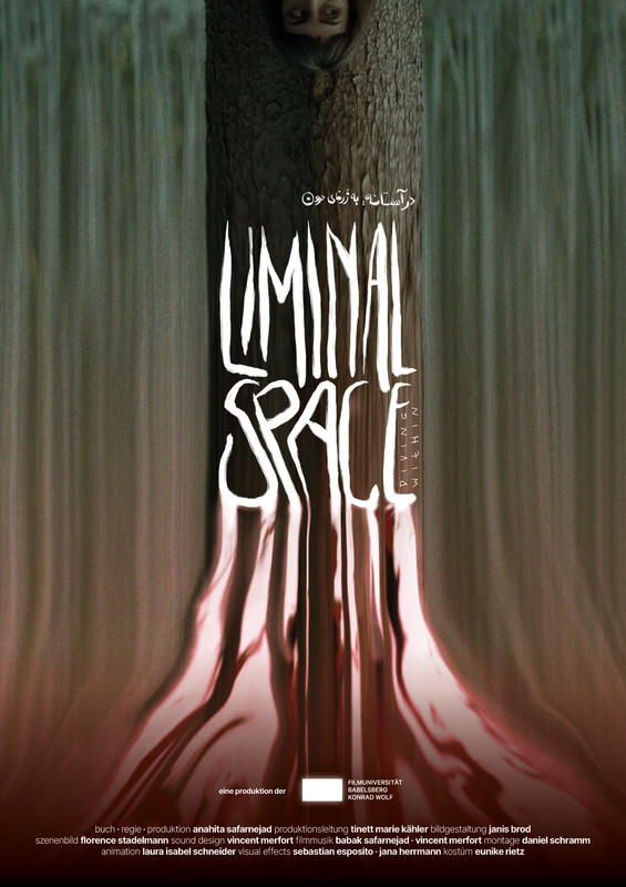 Liminal Space: Diving Within