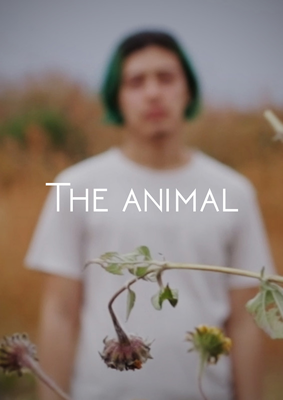 animal