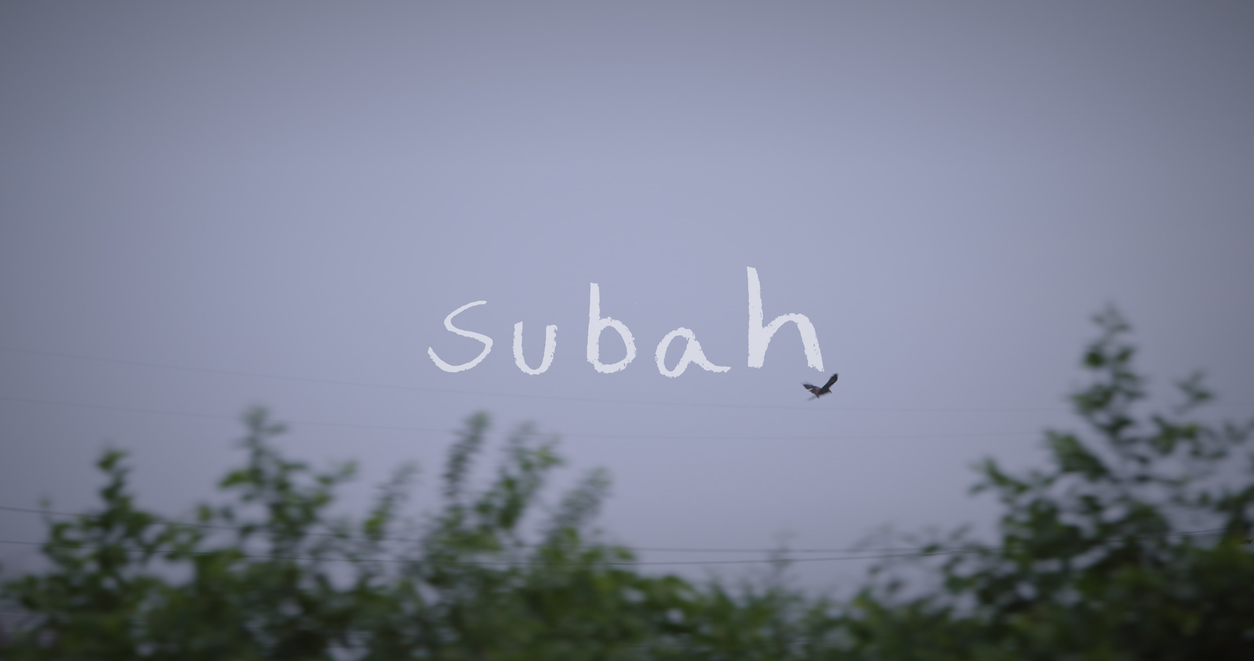 Subah