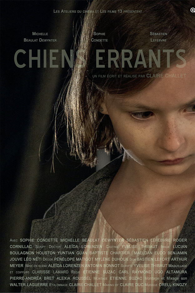 Chiens errants