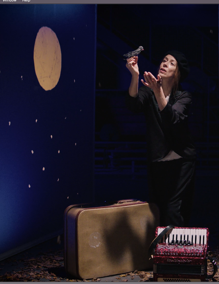 Swallow, Dear Swallow