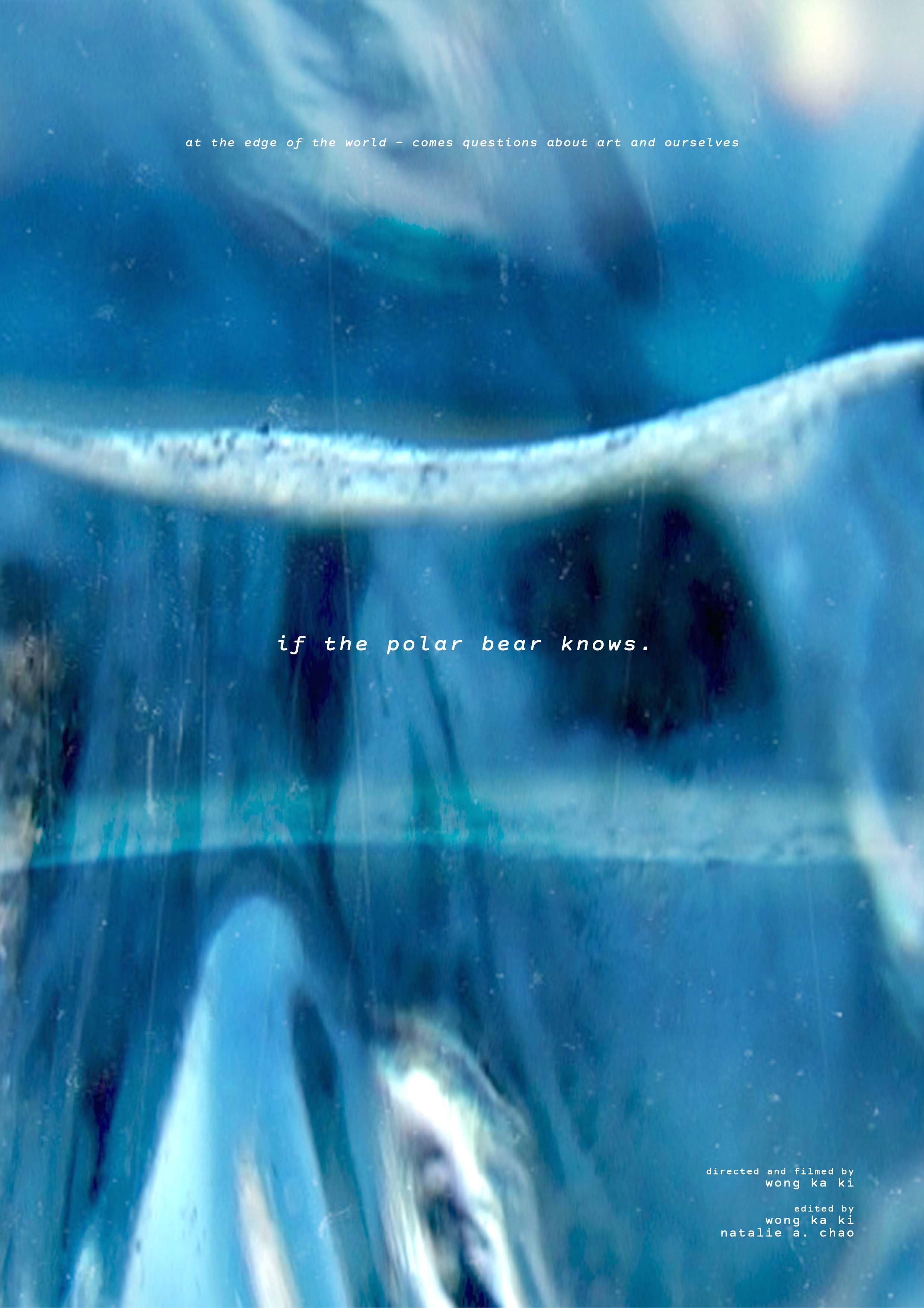 If The Polar Bear Knows