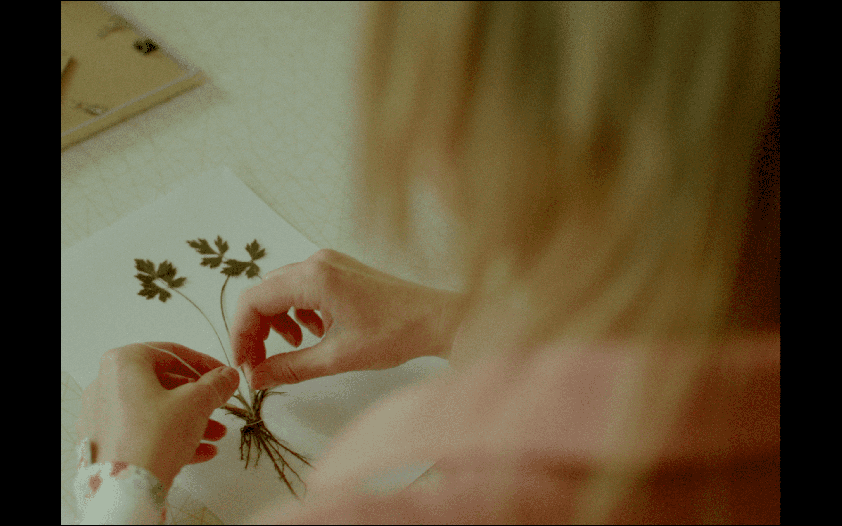 Where Motion Has Not Yet Ceased