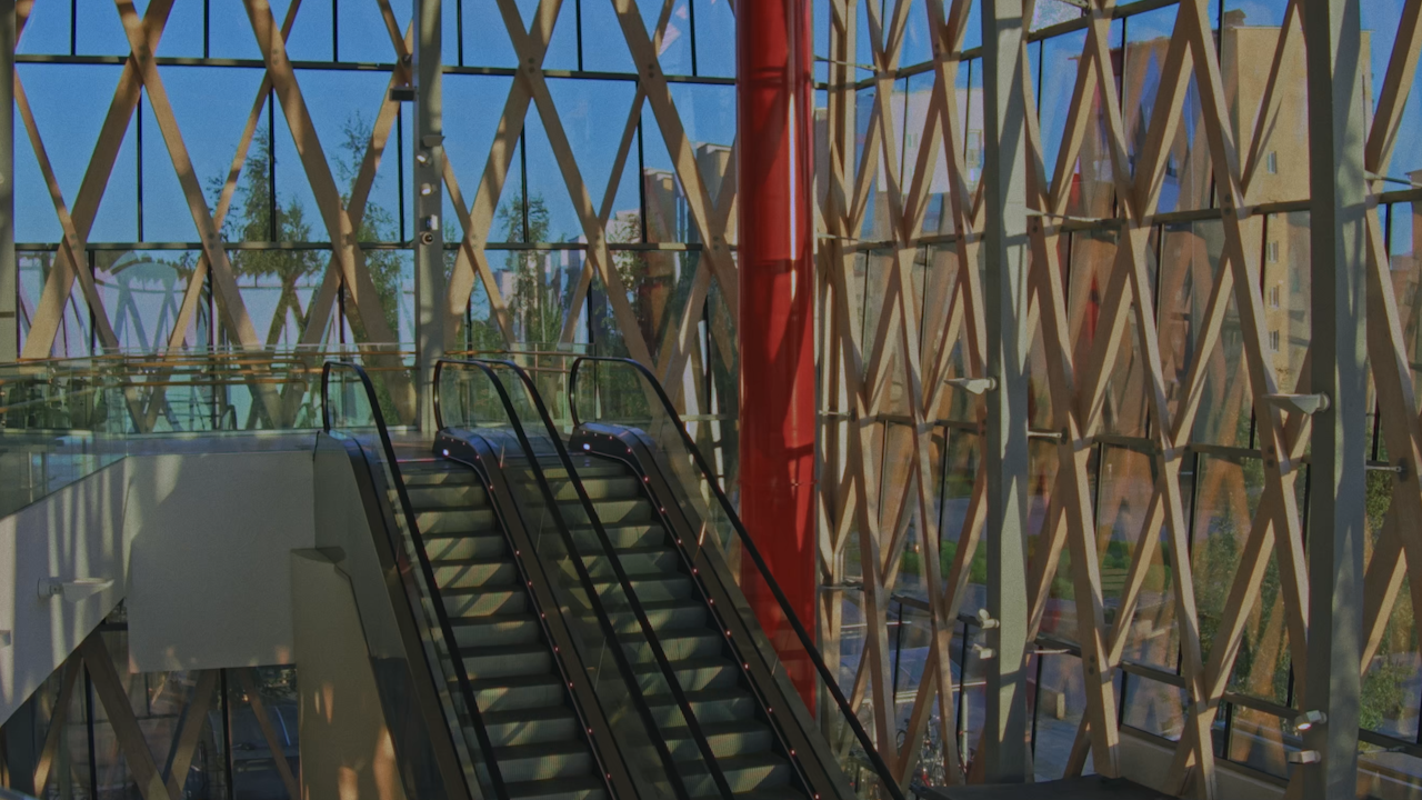 Lonely Cougar And The Heartbroken Stud