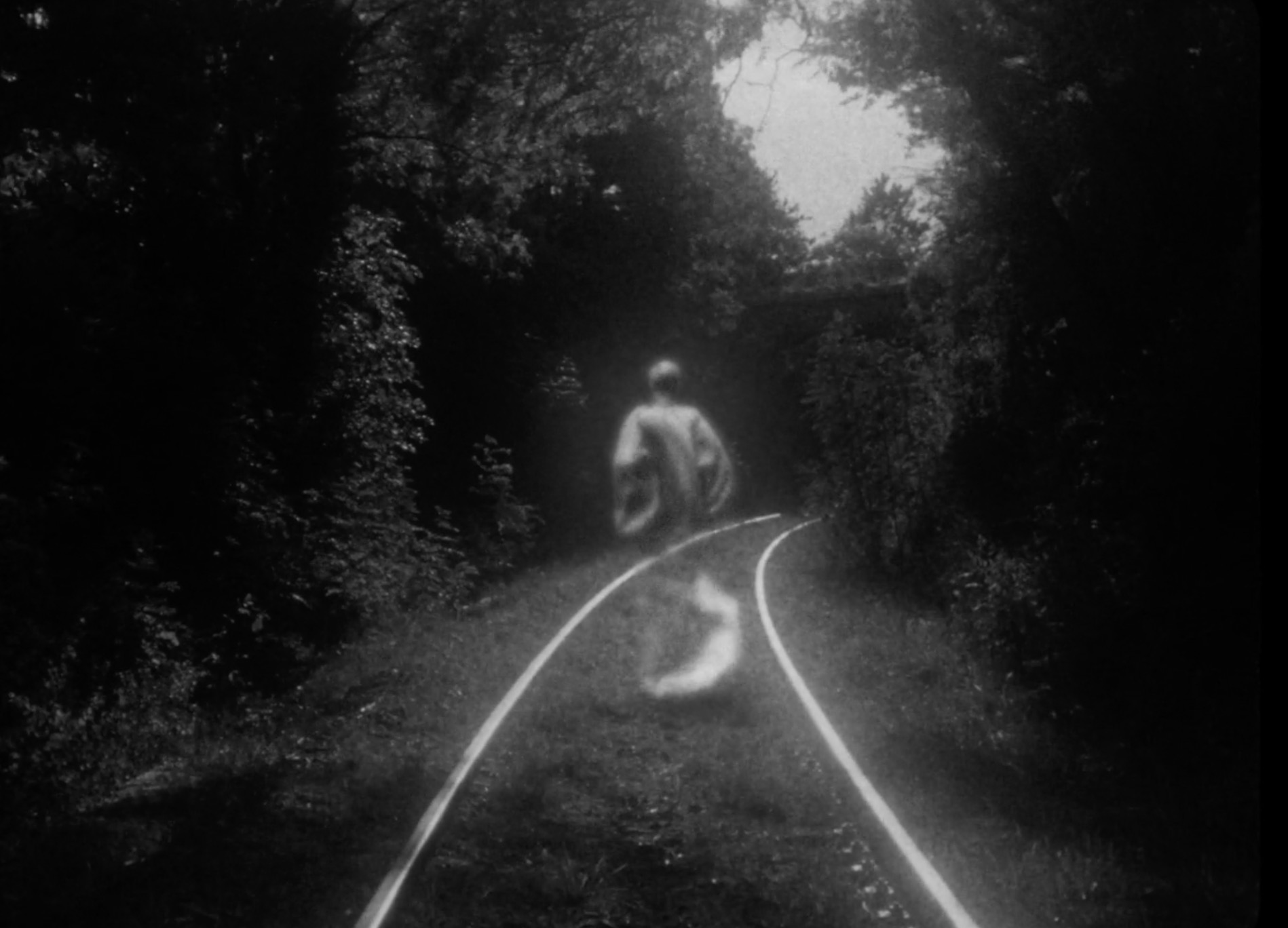 Wandering Ghost