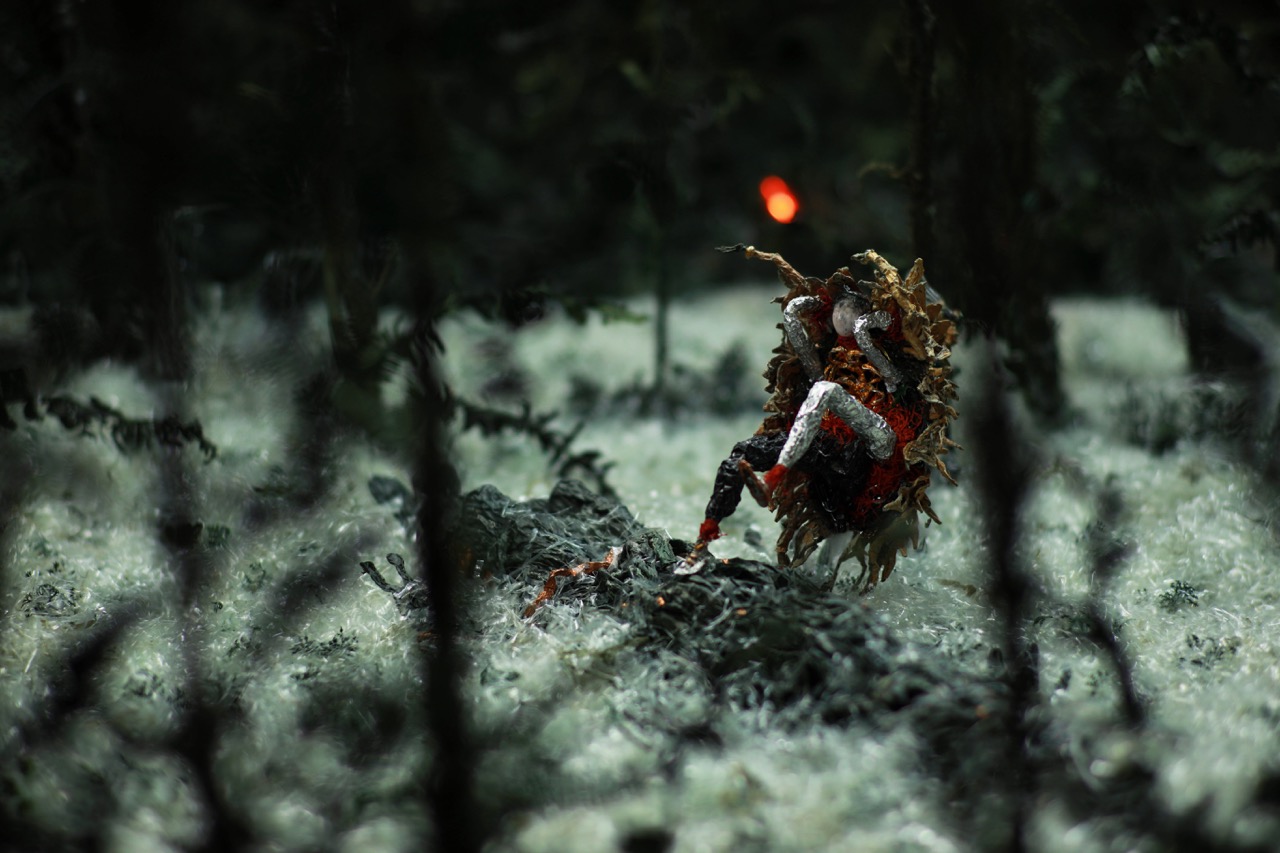 Compound Eyes of Tropical