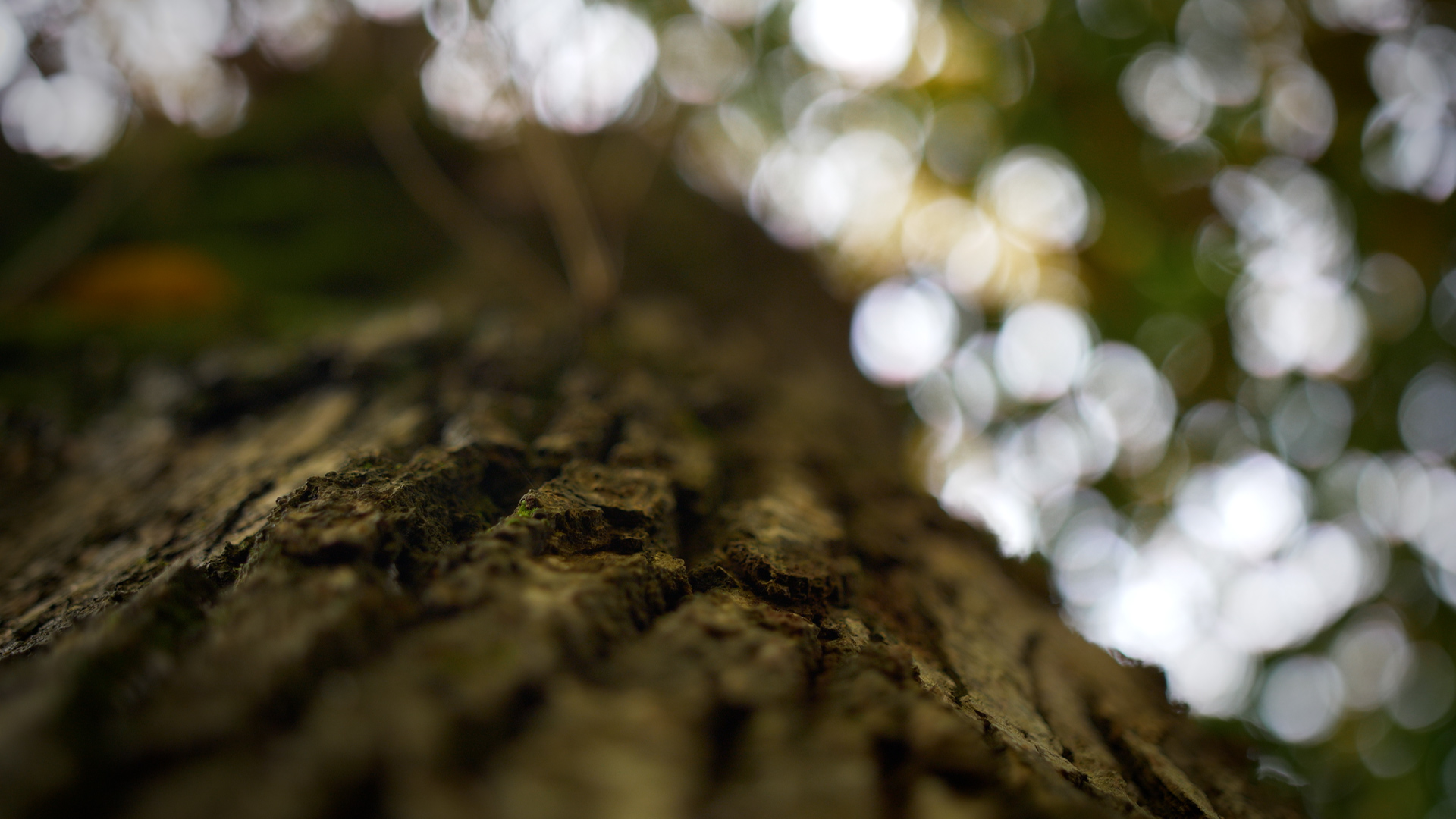 Semer le monde de demain