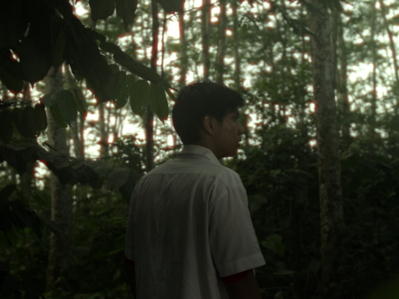 Accidentally Intentional