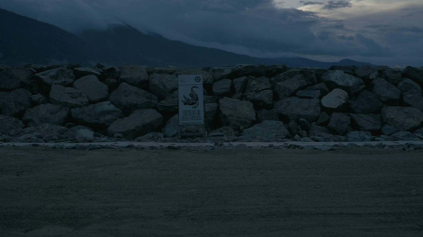 I'm Here, You're There (a Tale of the Crocodile's Twin)