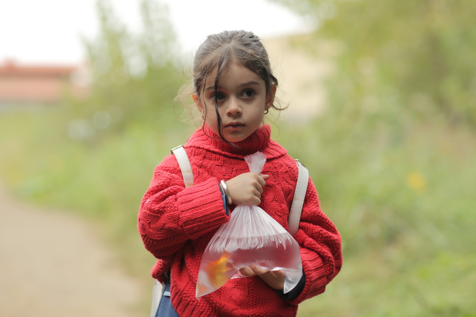 Two Lives of Sepideh