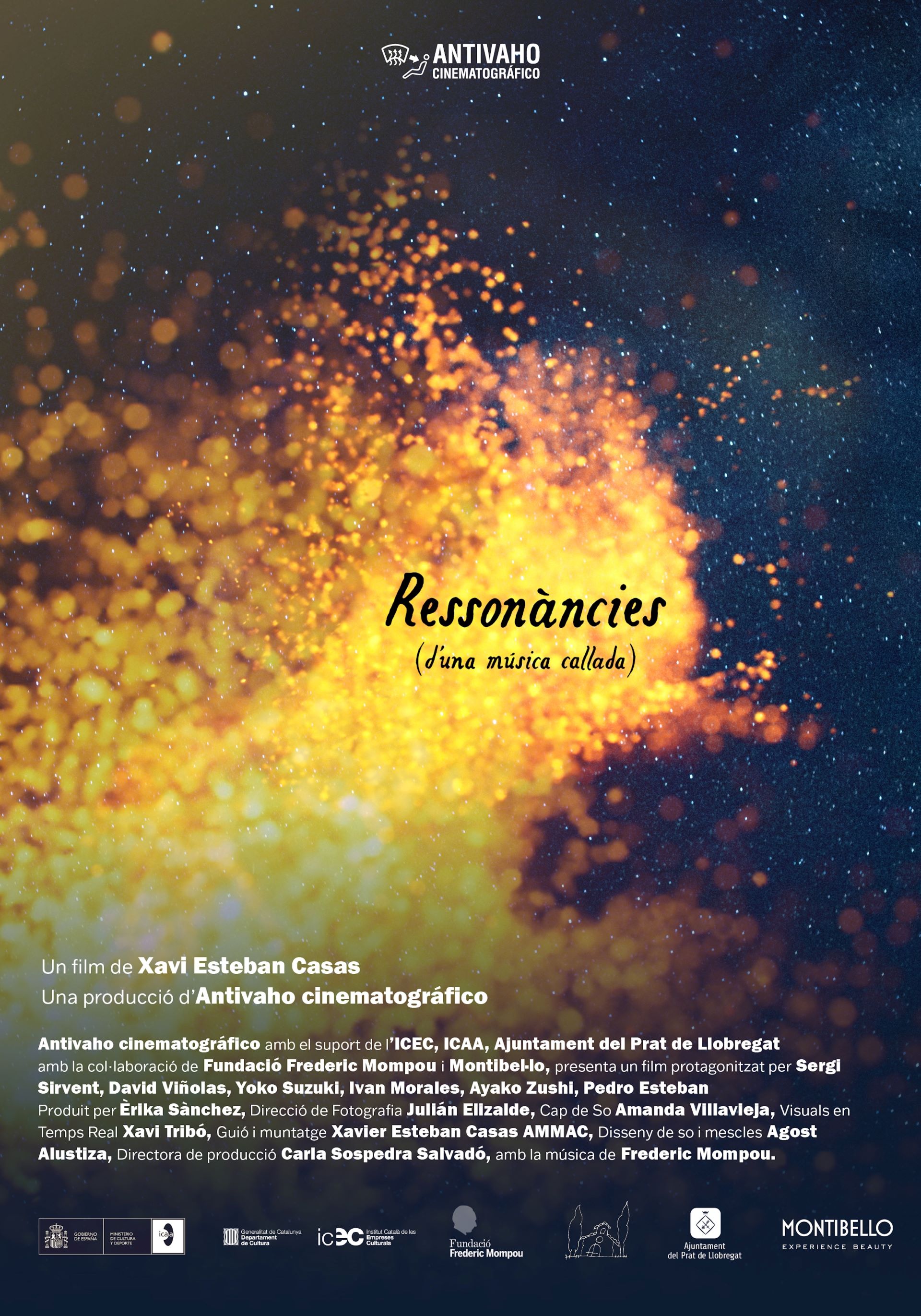 Ressonàncies (d'una Música Callada)