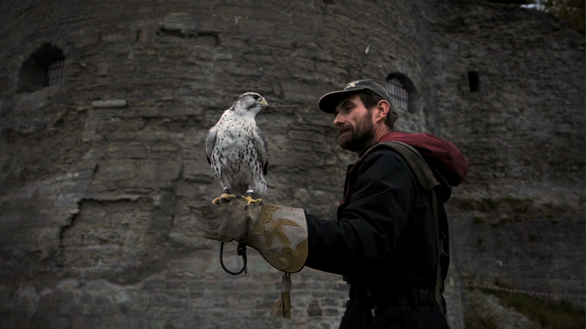 Falconers