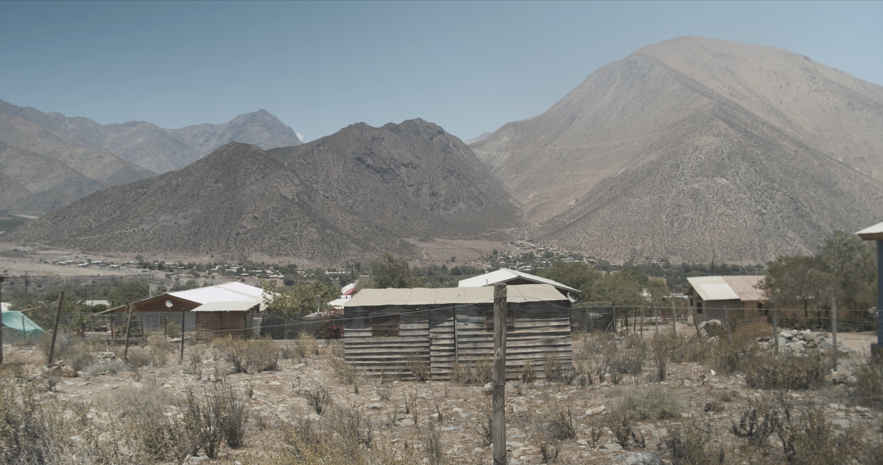 By the Time I Came Looking You Were Already Gone