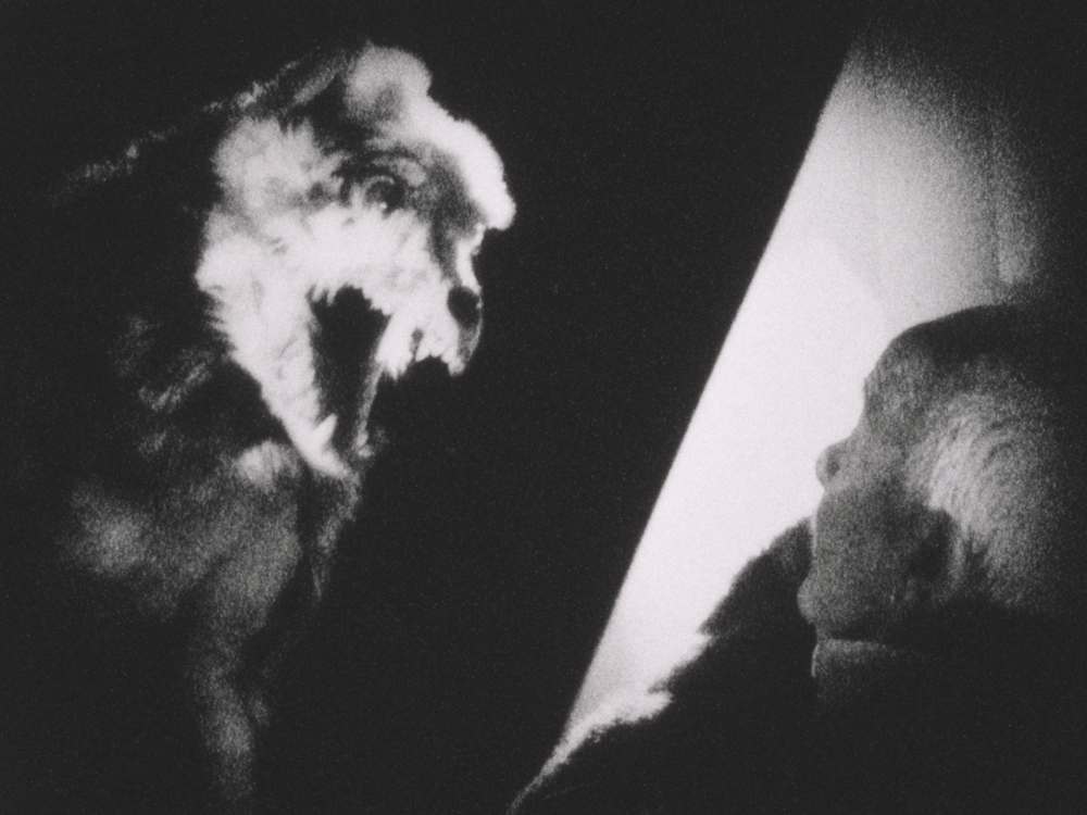 Grenfell Adrift on an Iceberg