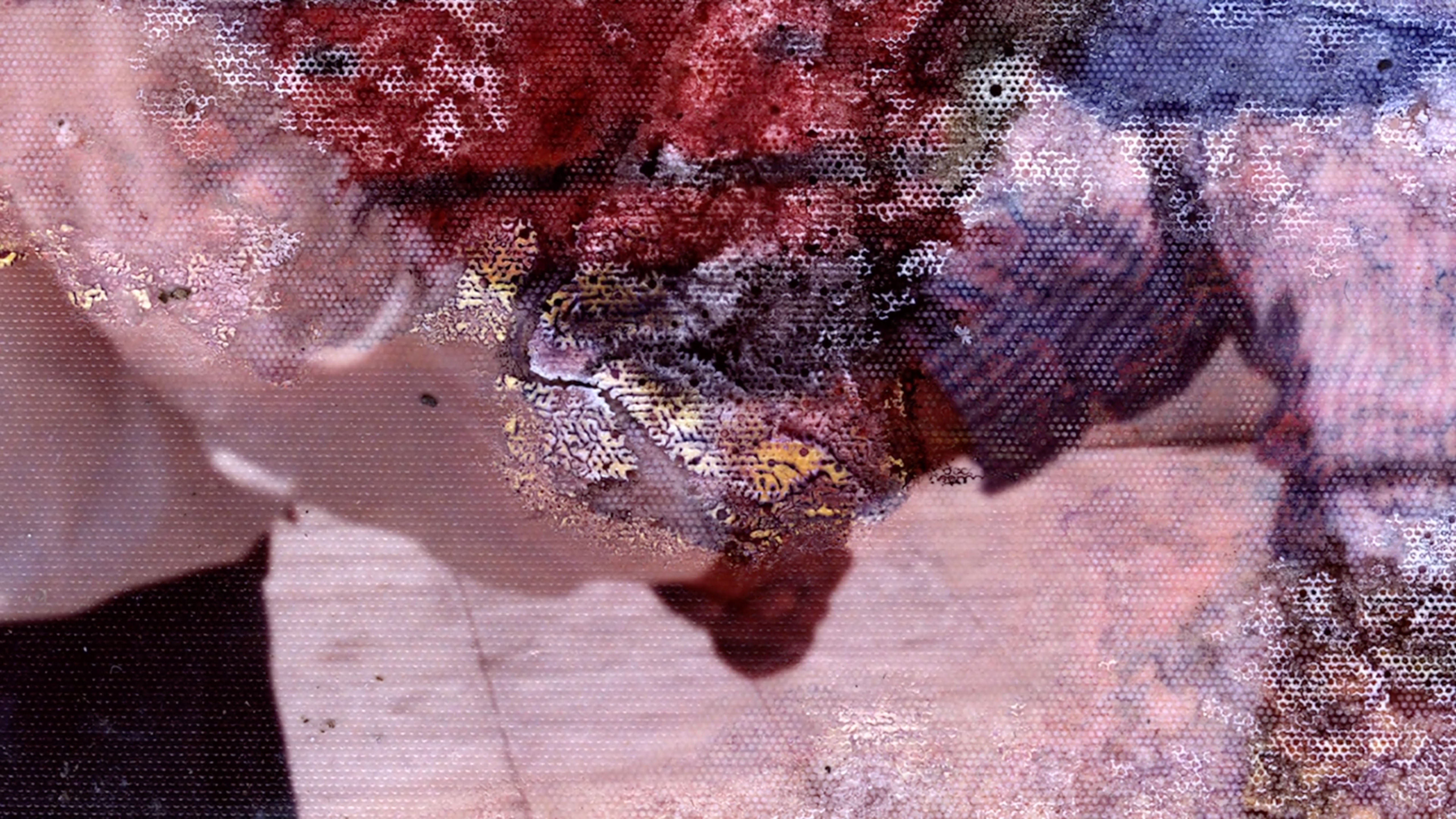 δ