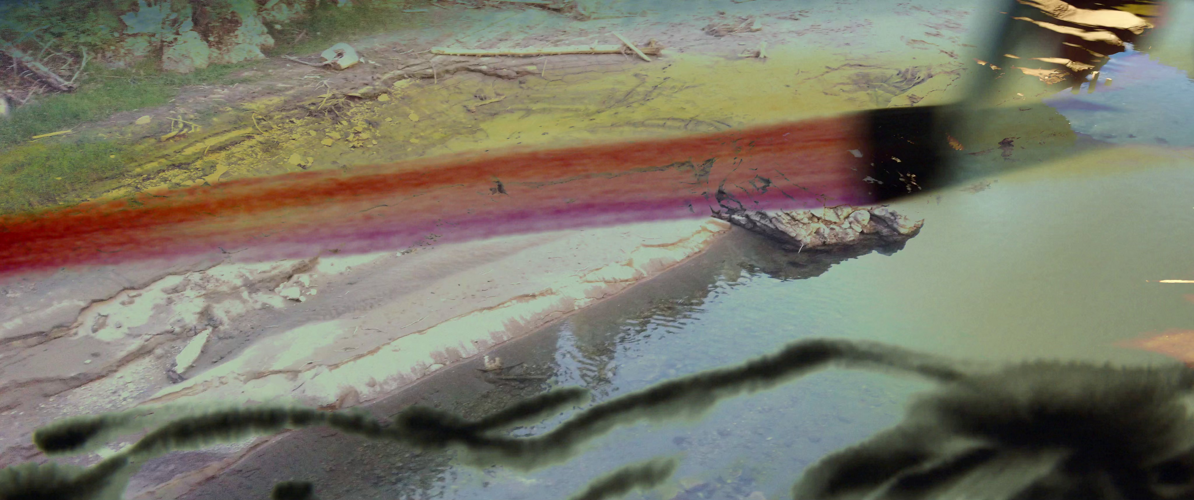 Bunker Broken in the Shadow of a Fallen Tree