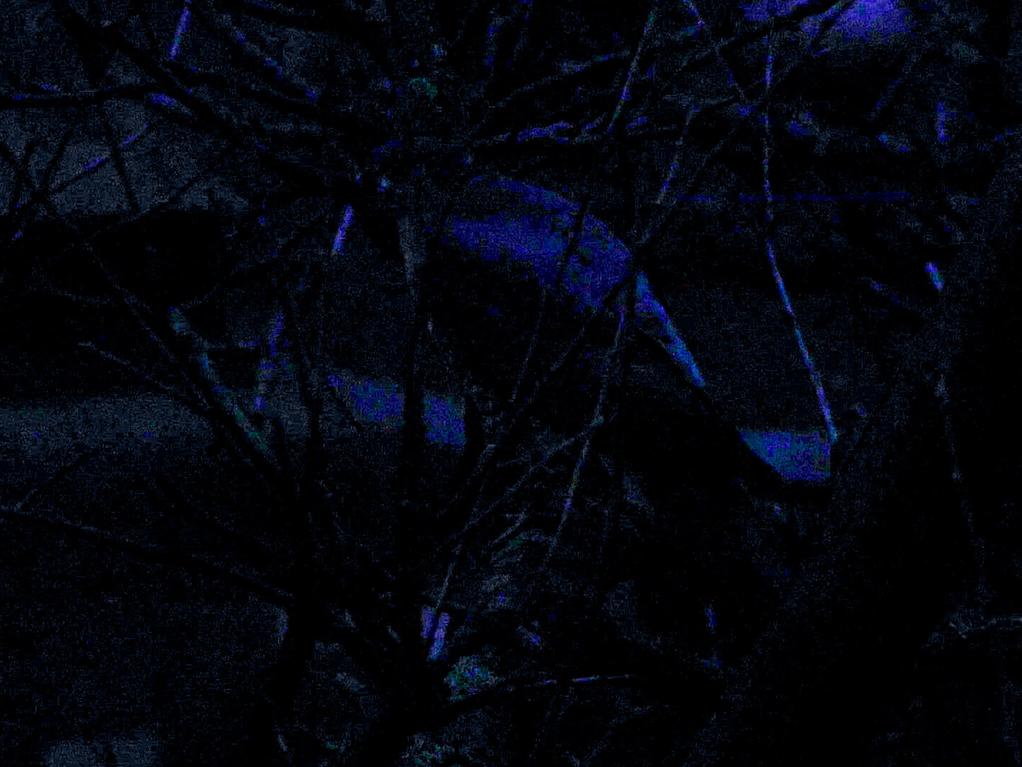 Sensitivity in Low Light Conditions