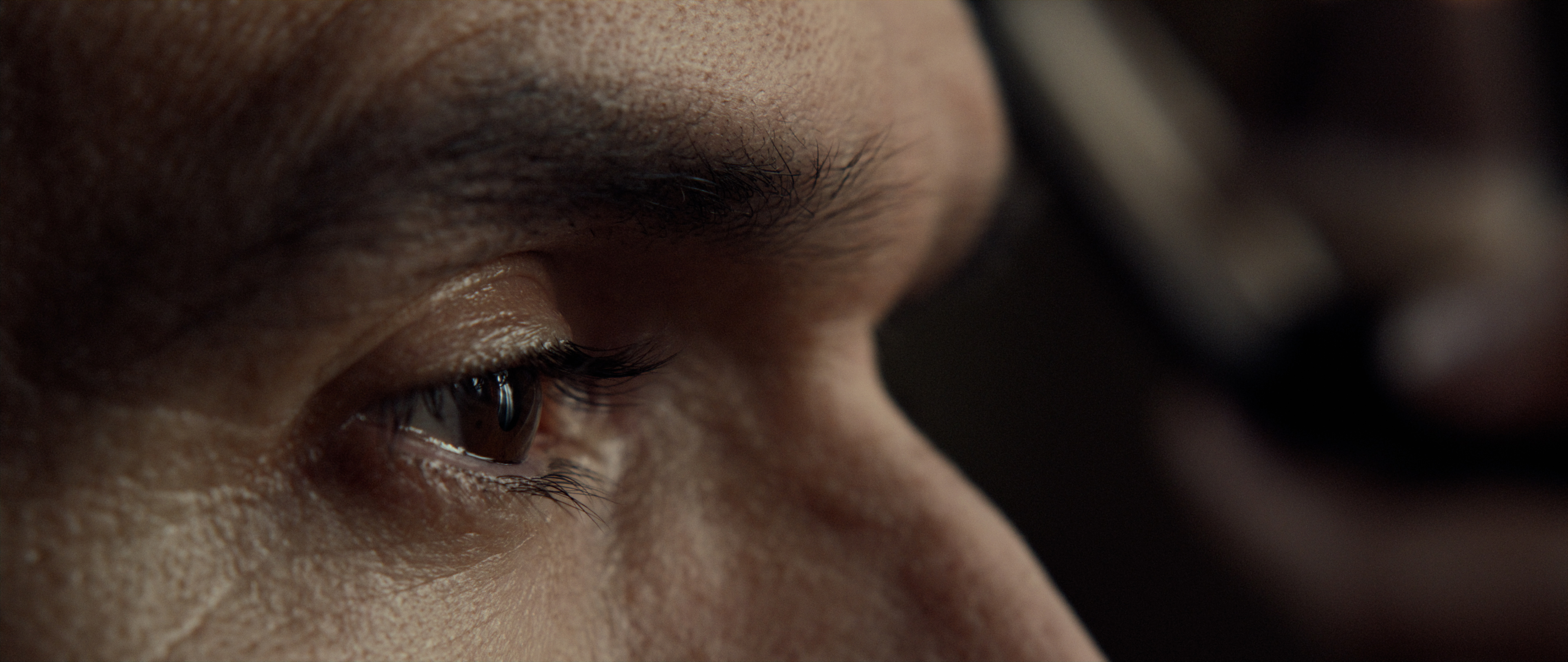 What Dictators Dream About