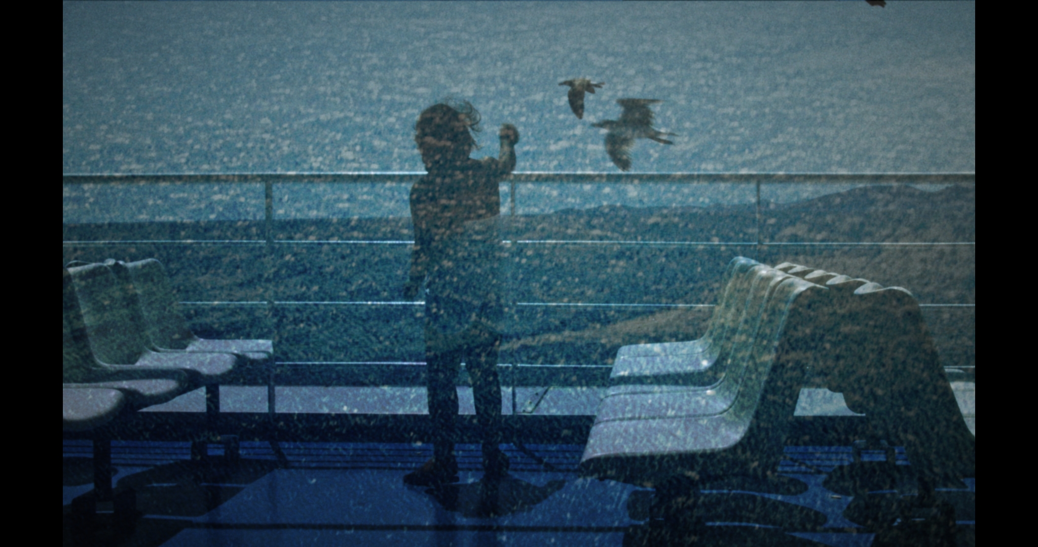 Notes from a Sea Voyage