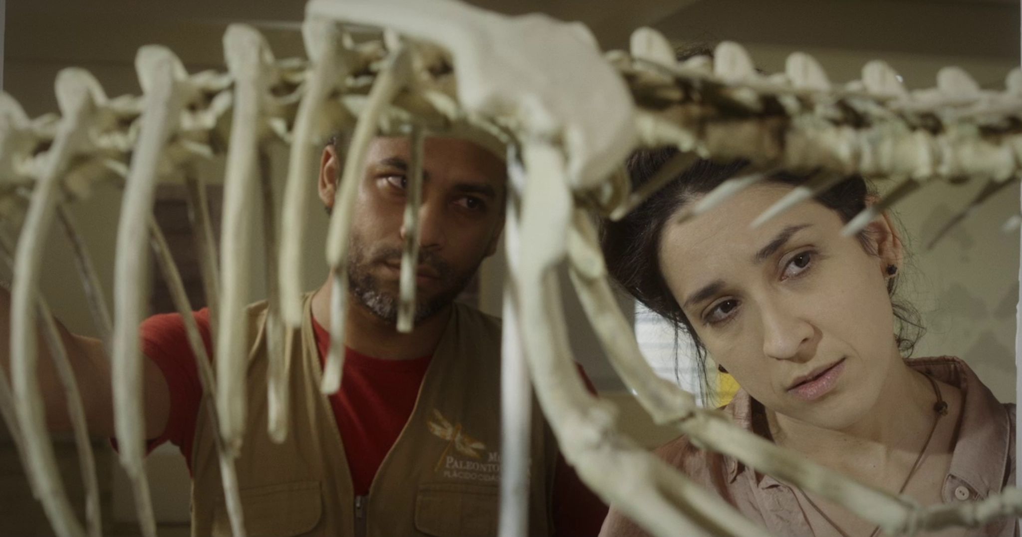 Vale dos Dinossauros