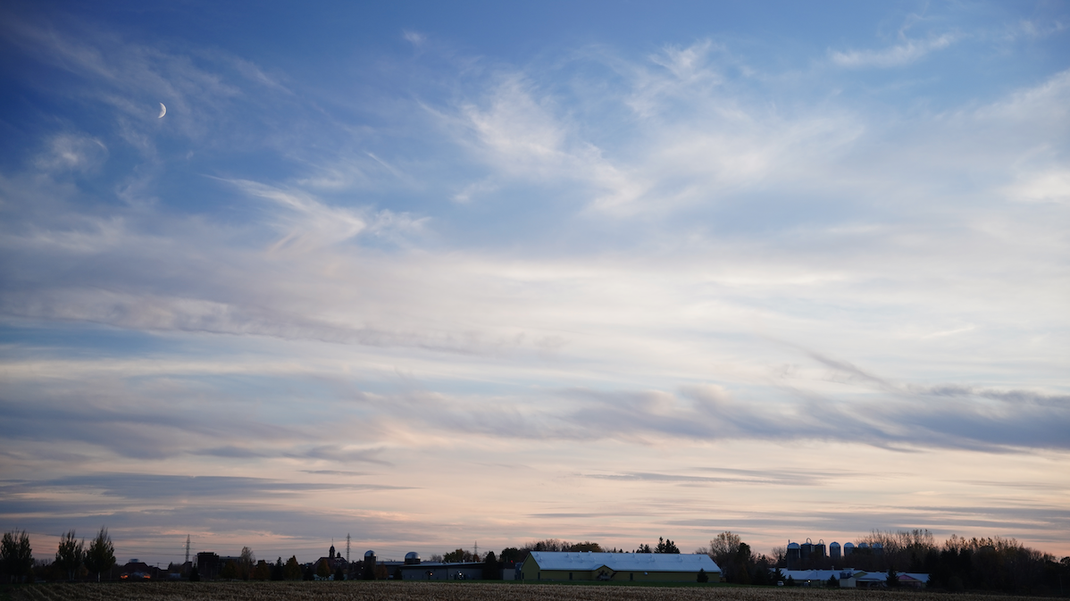 I Dream of Poultry Cottages