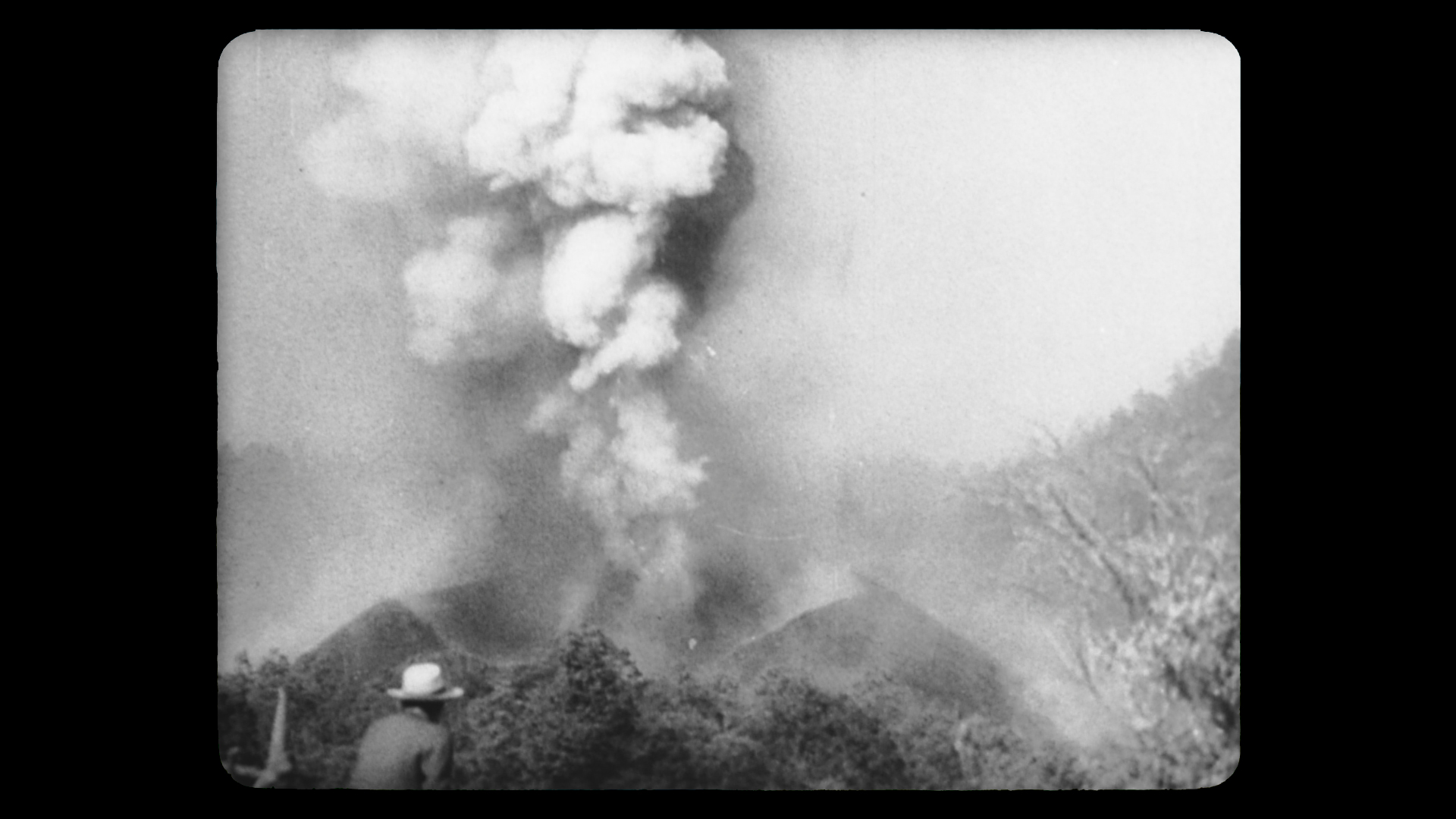 Toda la noche vi crecer el fuego