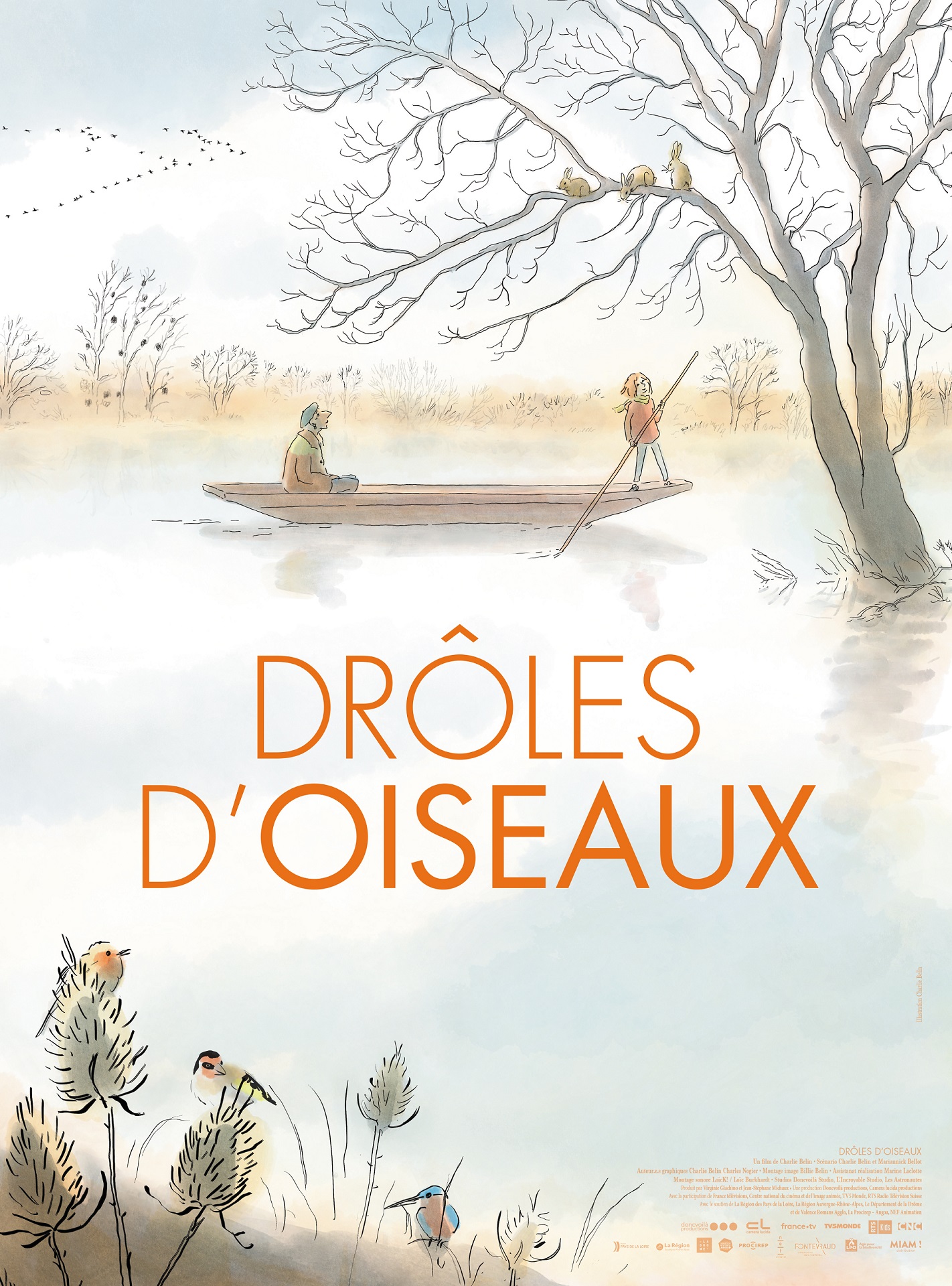 Drôles d'Oiseaux